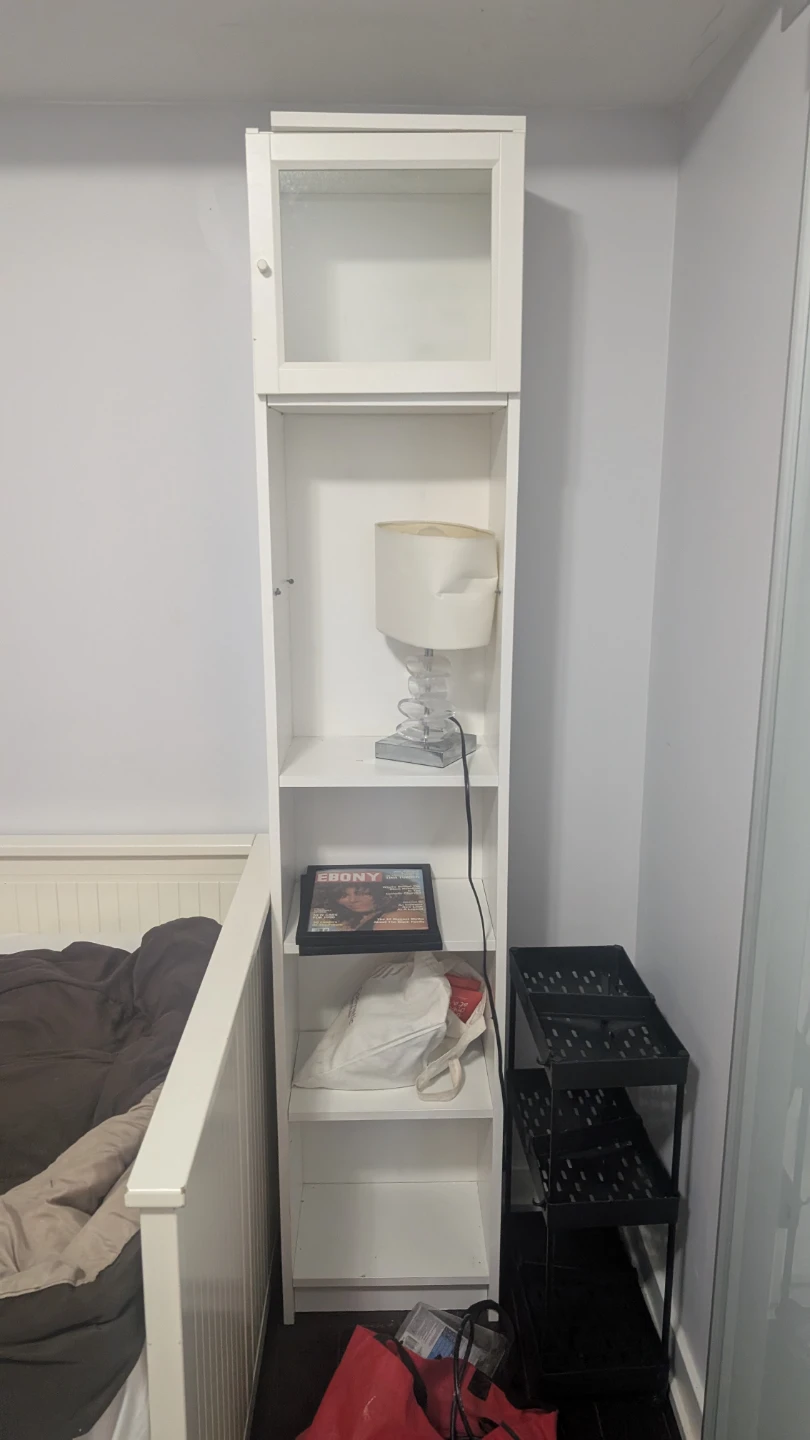 IKEA Billy Bookcase with Glass Door