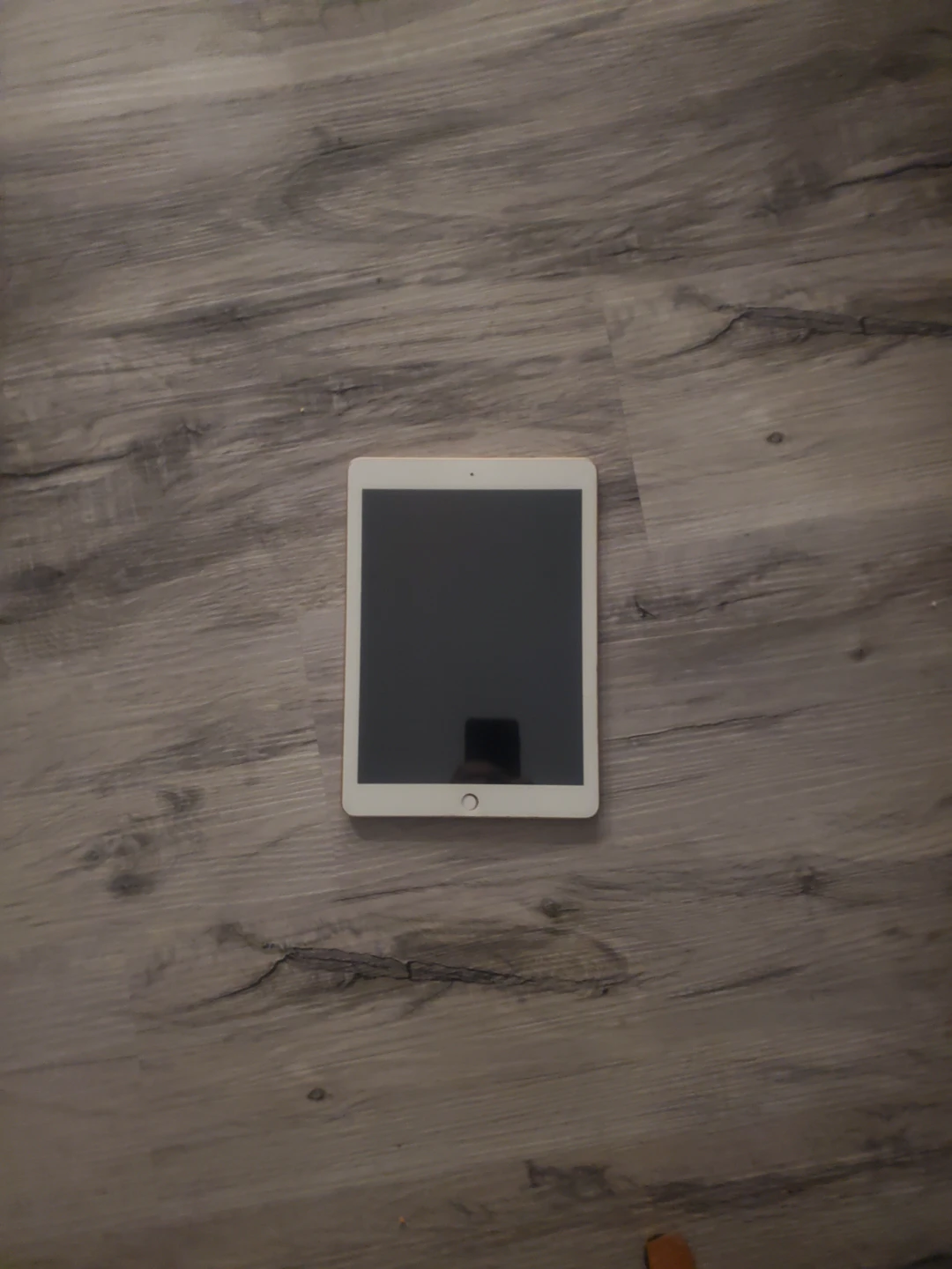 Apple iPad