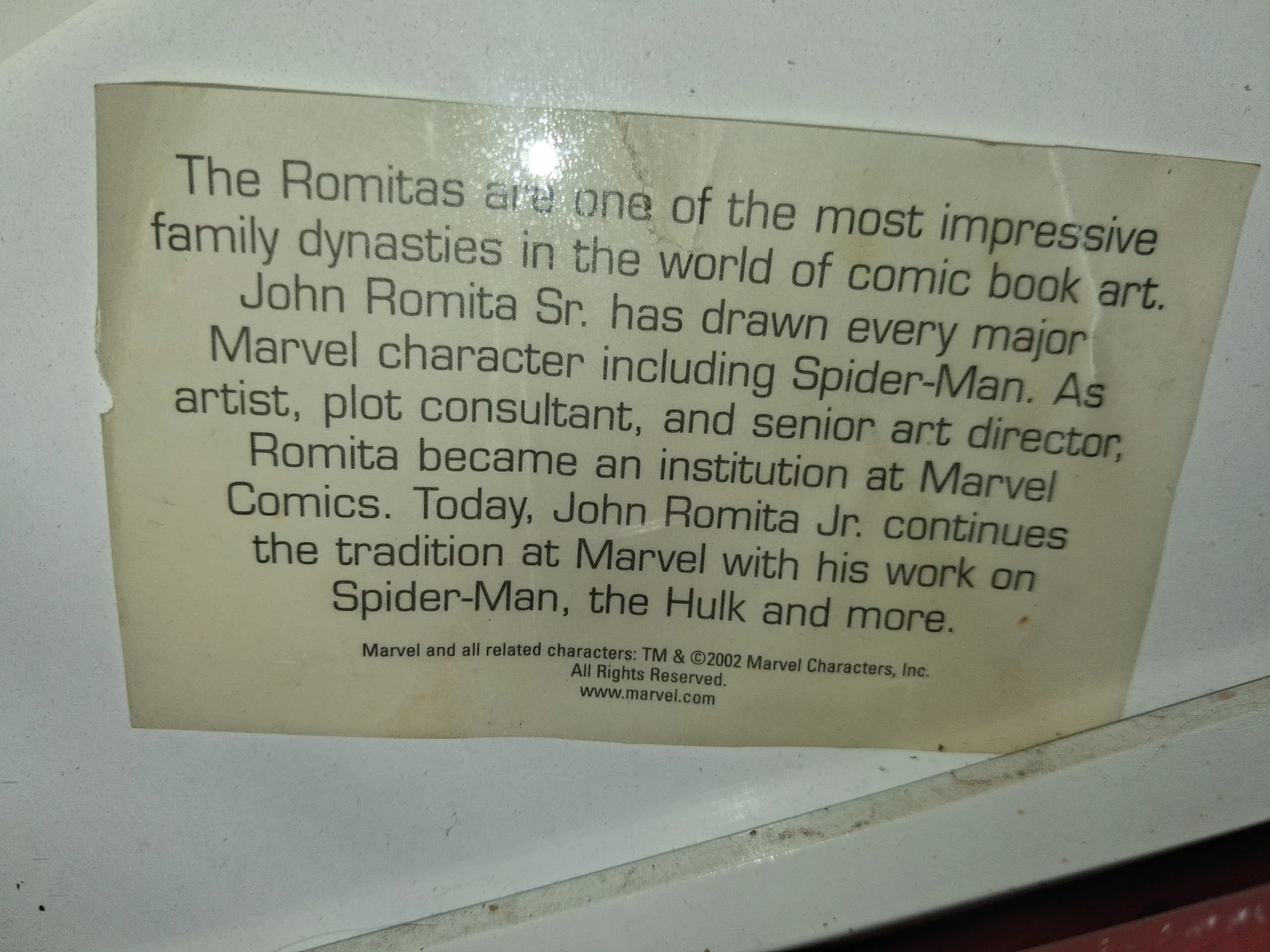 Framed Spider-Man Art by The Romitas - photo 4