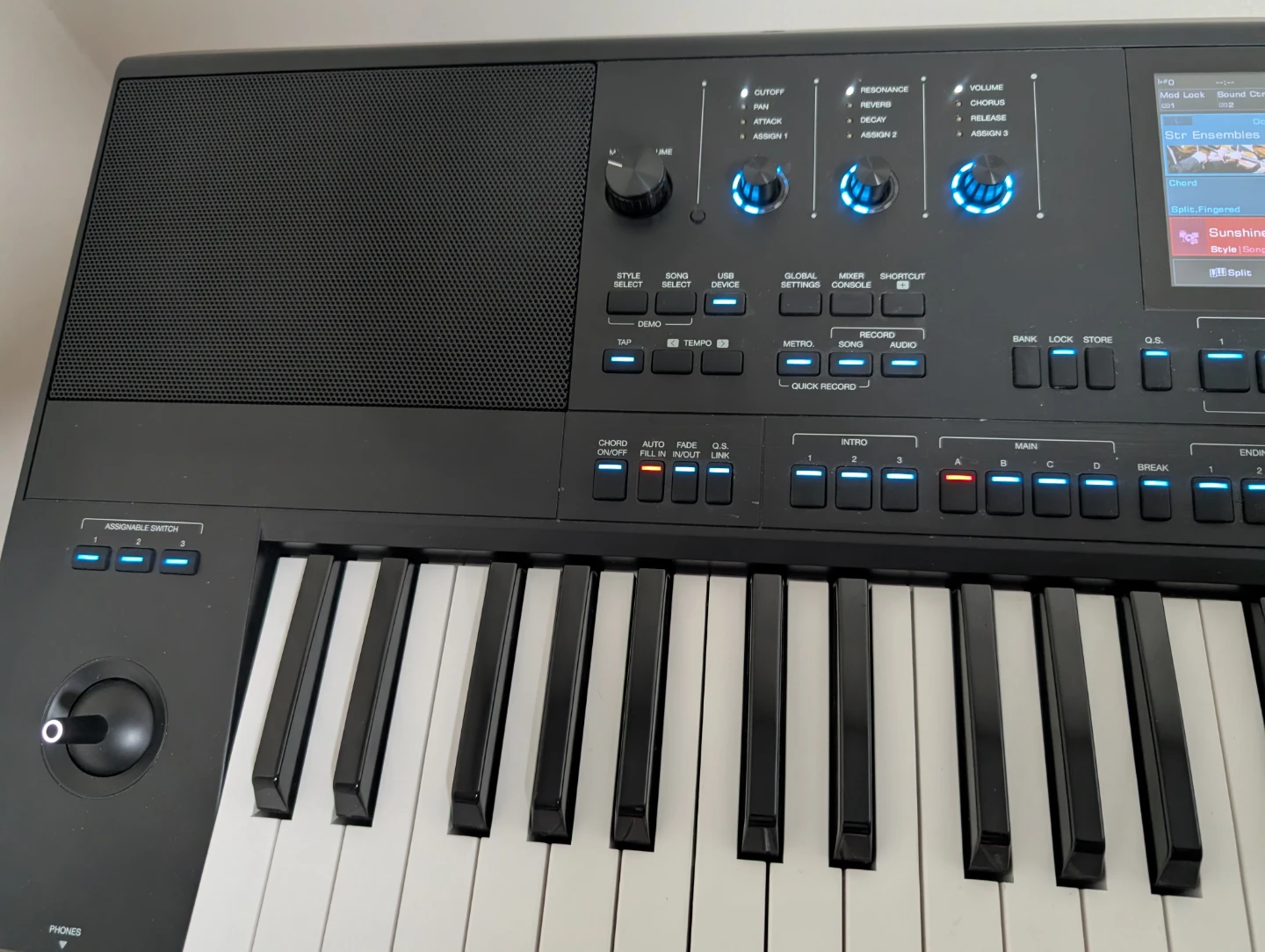 Medeli AKX10 Accompaniment Keyboard - photo 3