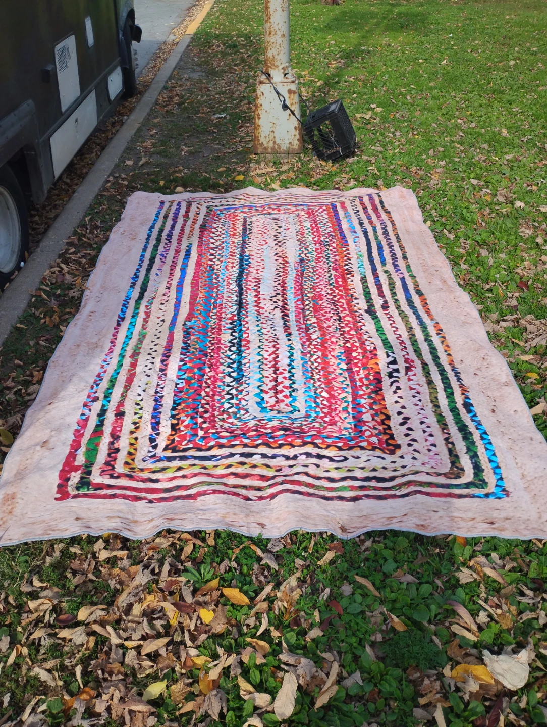 Braided Multi-Color Accent Rug (8 x 10)