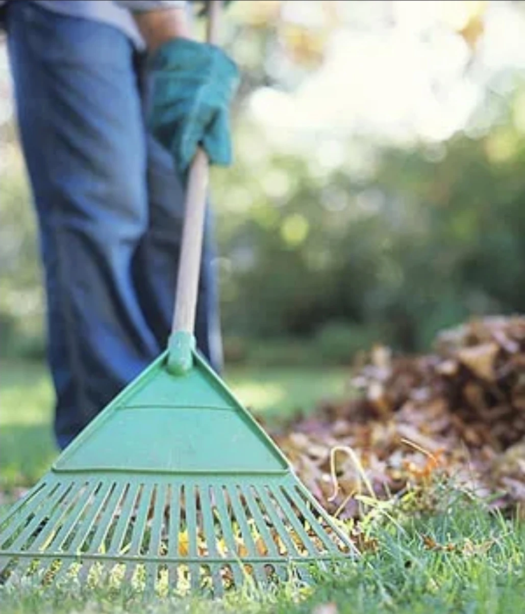 Snow removal/ leaf raking or lawn mowing - photo 2