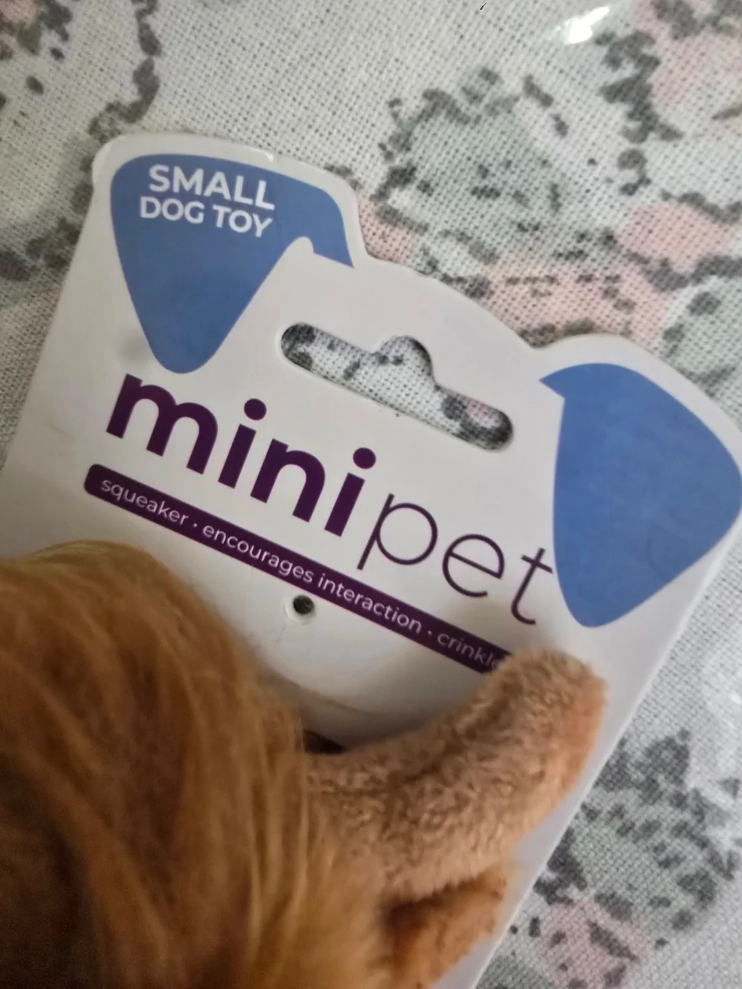 Minipet Mini Highland Cow Dog Toy - photo 2