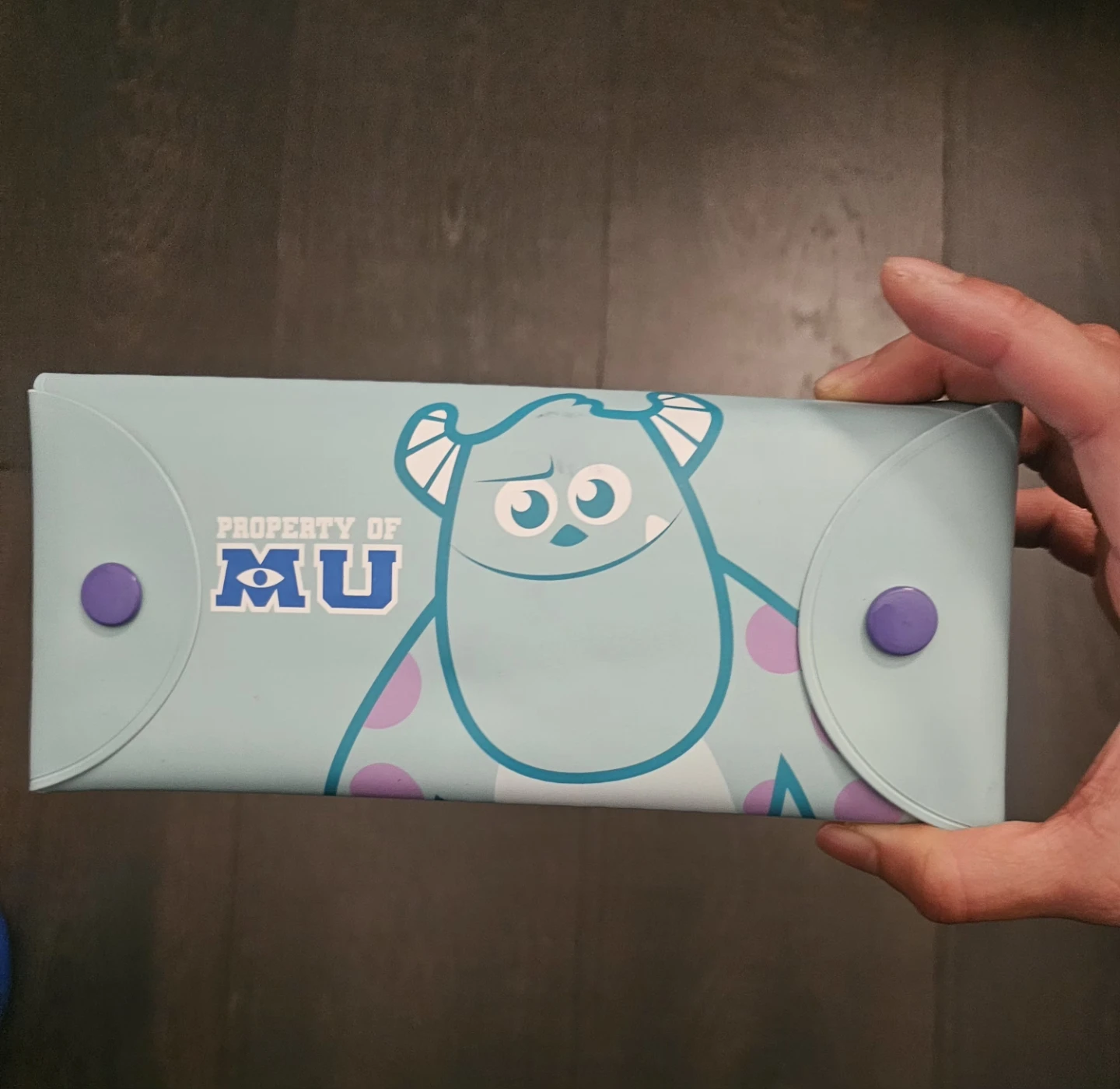 Monsters University Sulley Pencil Case