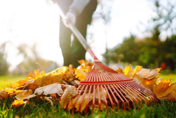 Leave removal services /snow removal