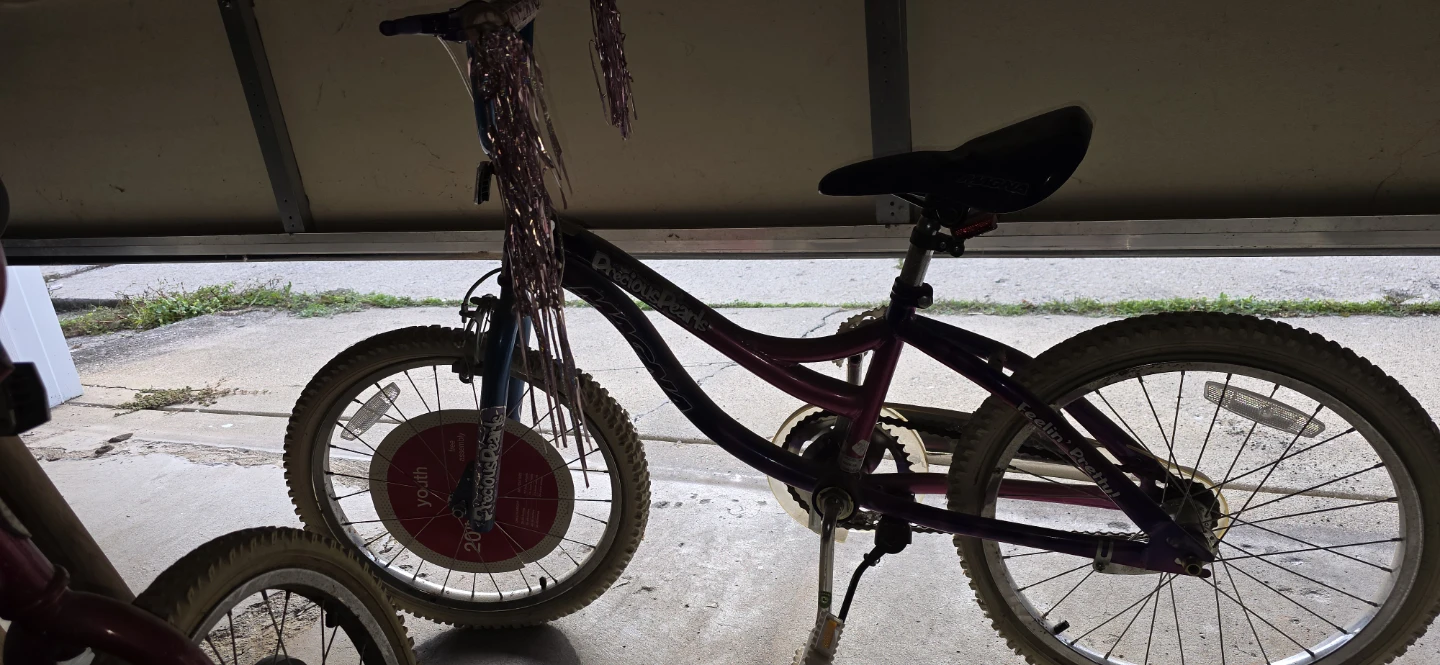 Precious Pearls Youth Bike 20 inch