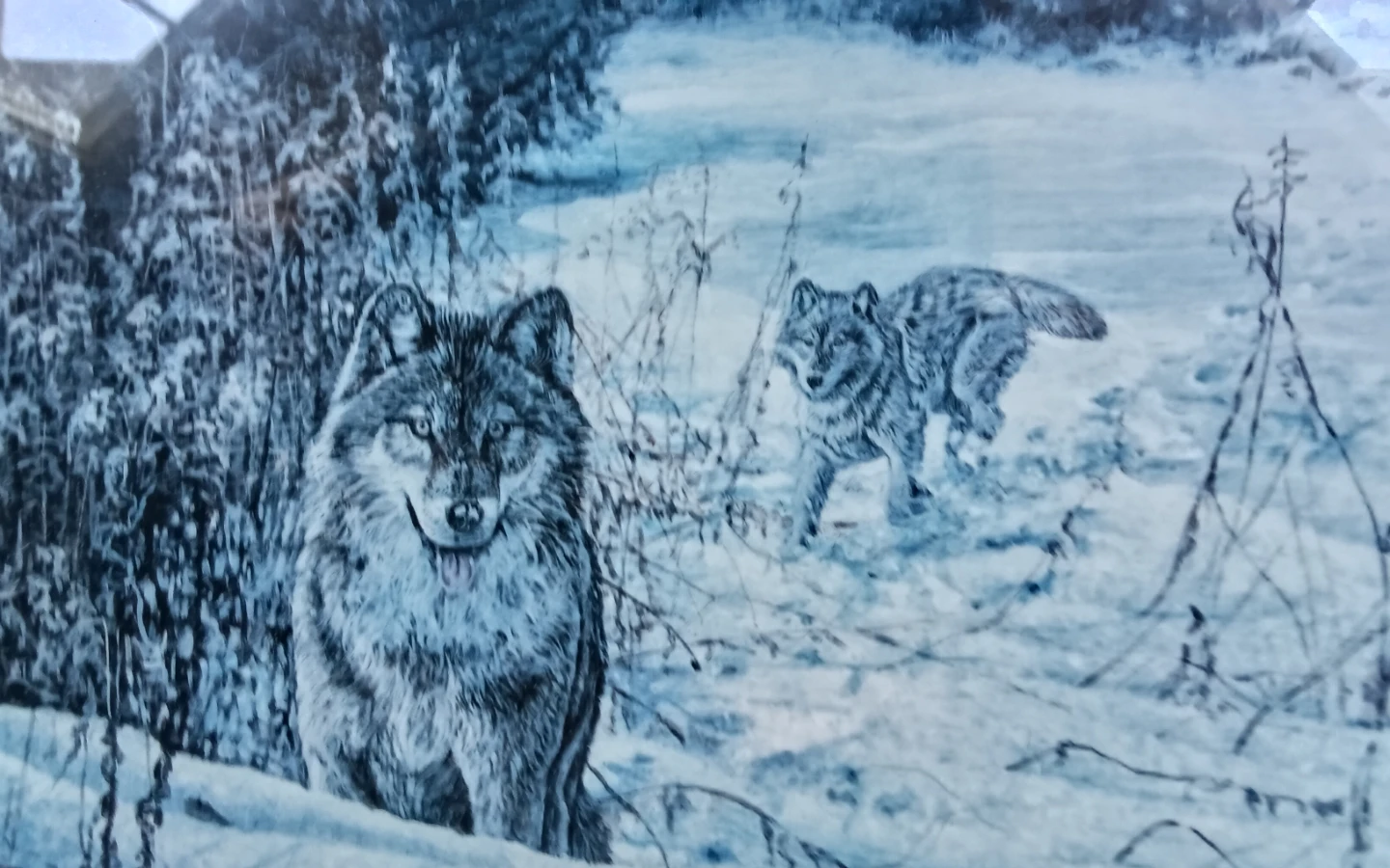 Paul Rankin Framed Wolf Print 1994 - photo 2