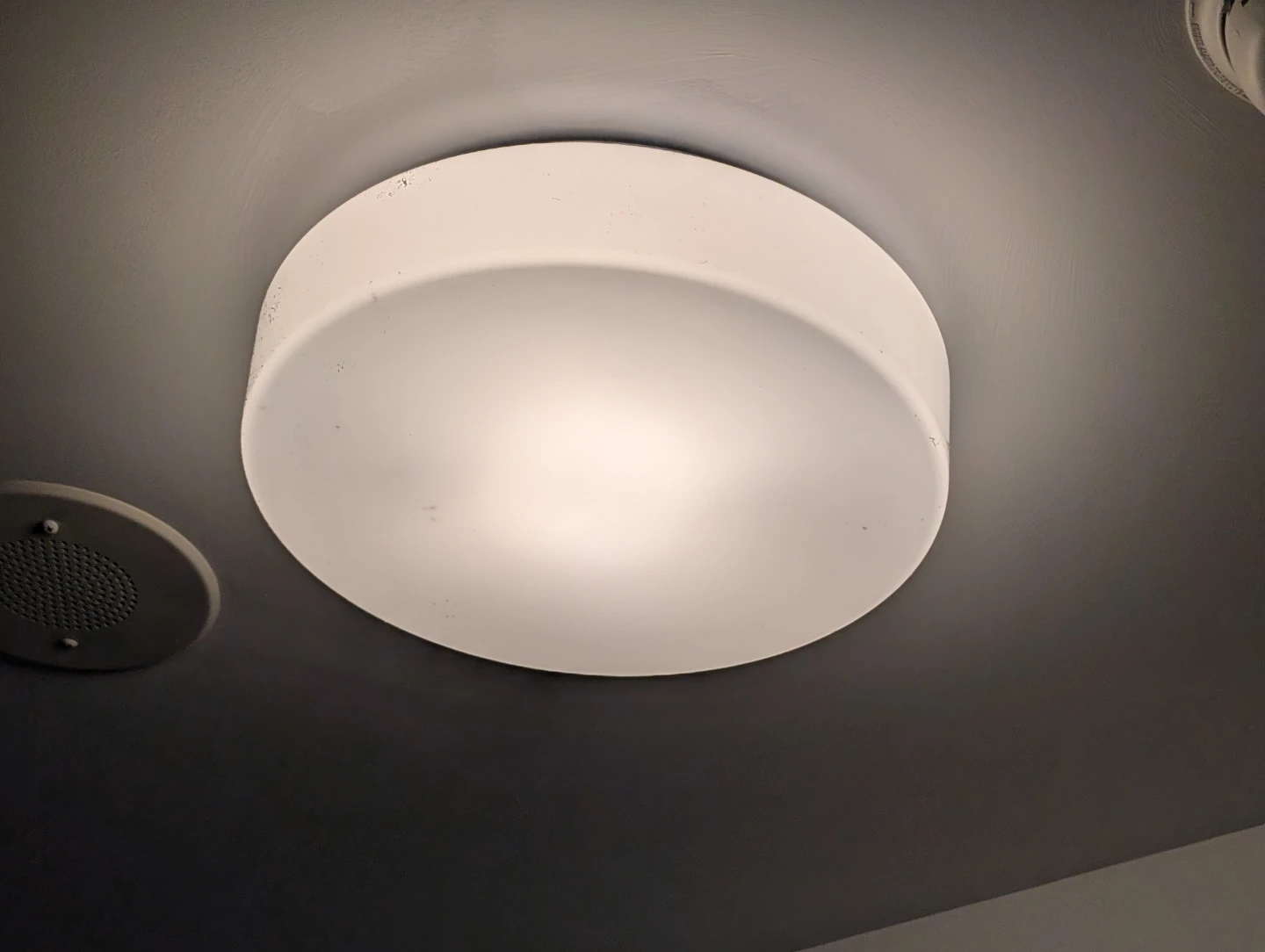 Round Flush Mount Ceiling Light 14-In
