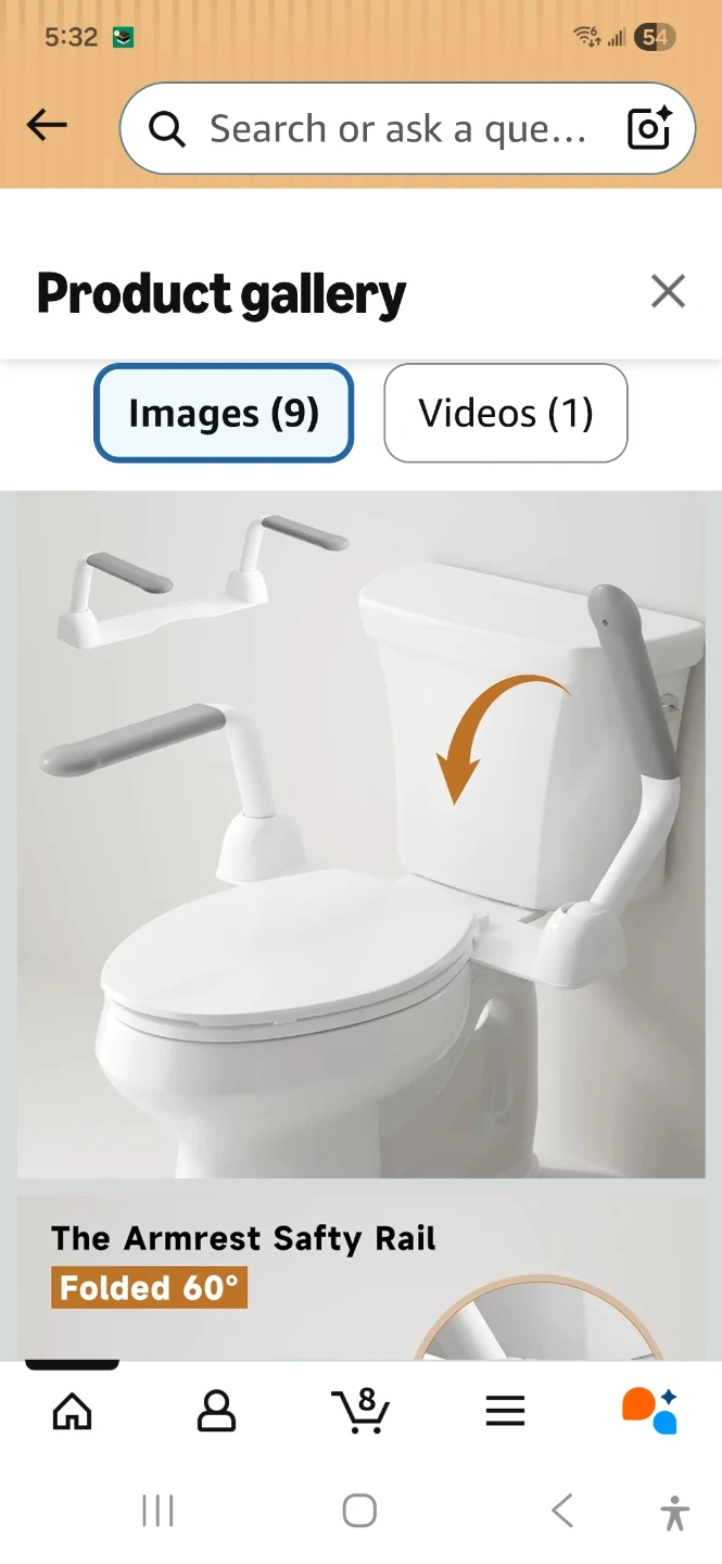 MUIRYN Toilet Safety Rail