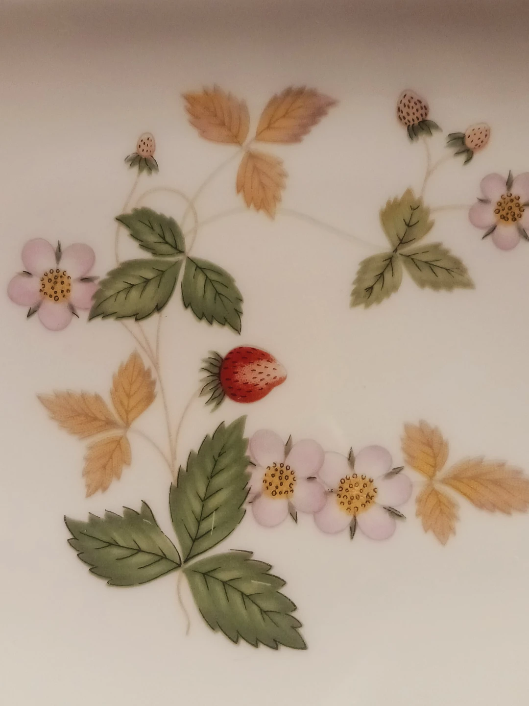 Wedgwood Wild Strawberry  Fine English Porcelain MiniTray - photo 3