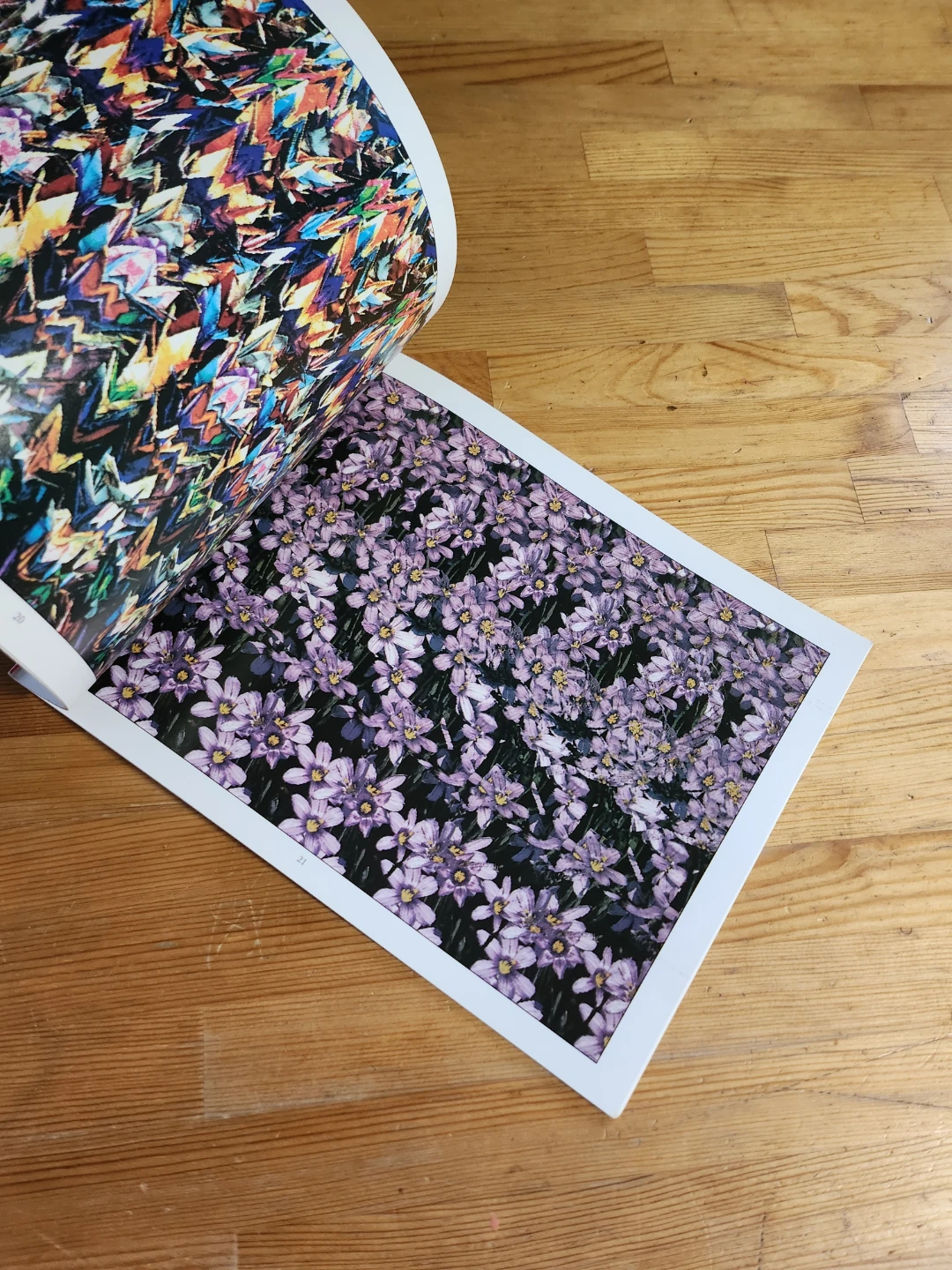 Magic eye book *Missing Cover* - photo 2