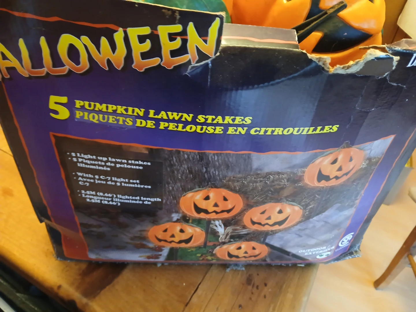 5 Pumpkin Halloween Lawn Stakes