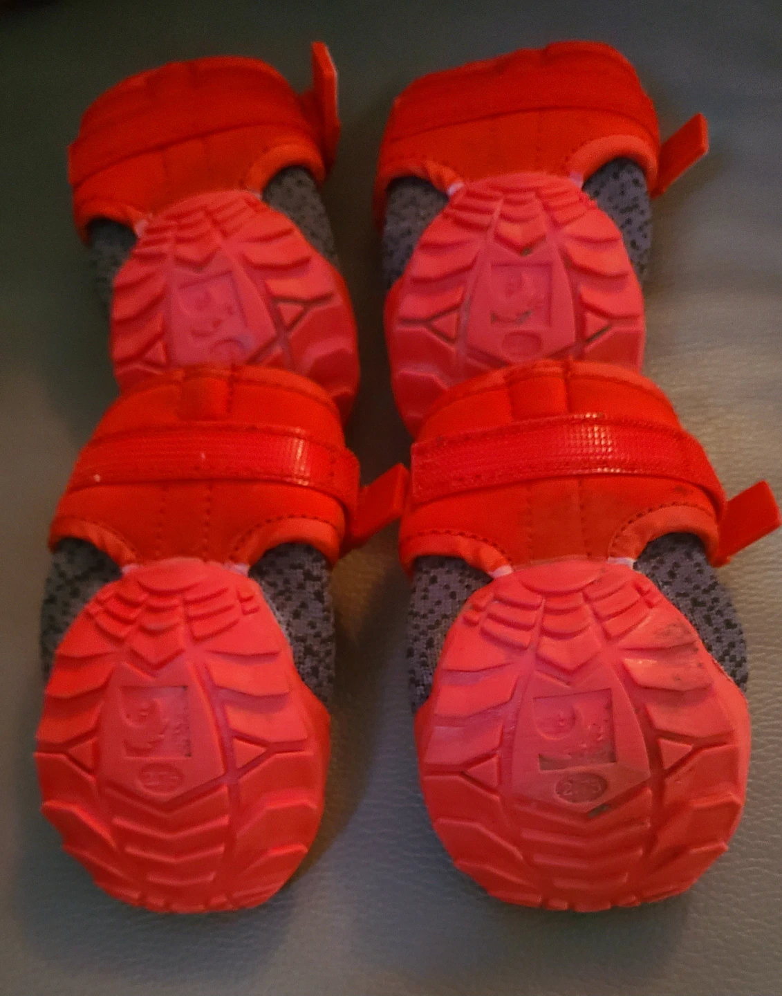 RC Pets Apex Dog Boots Set -  (Front 2.75" / Back 2.5") - photo 3