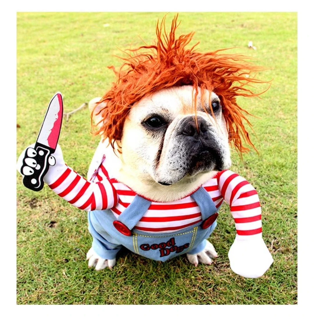 Pet Costume