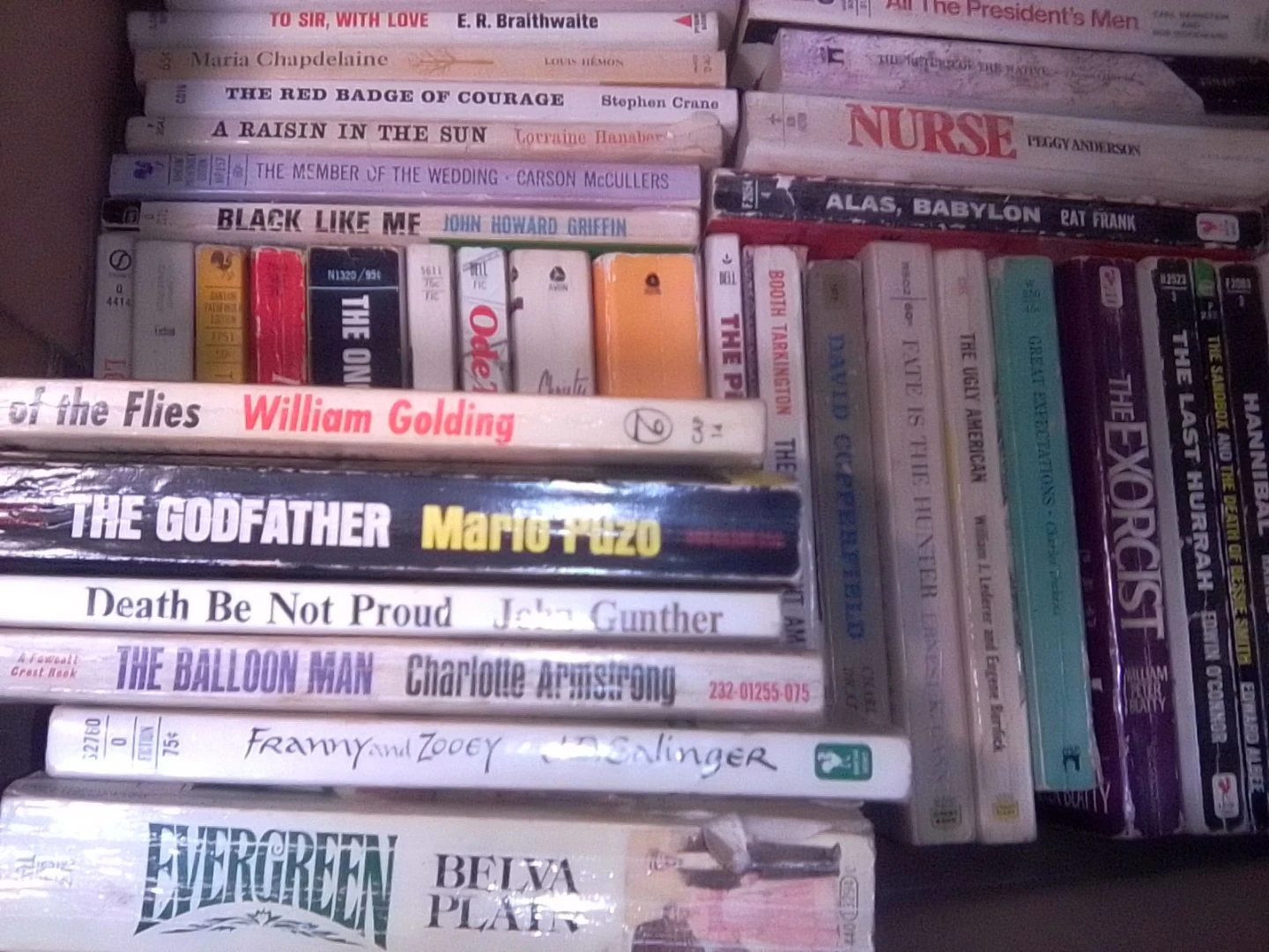 Large Collection of Vintage Classic Novels