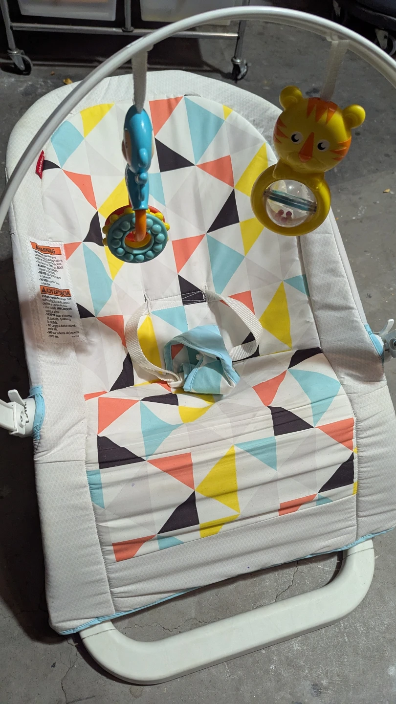 Fisher-Price Baby Bouncer