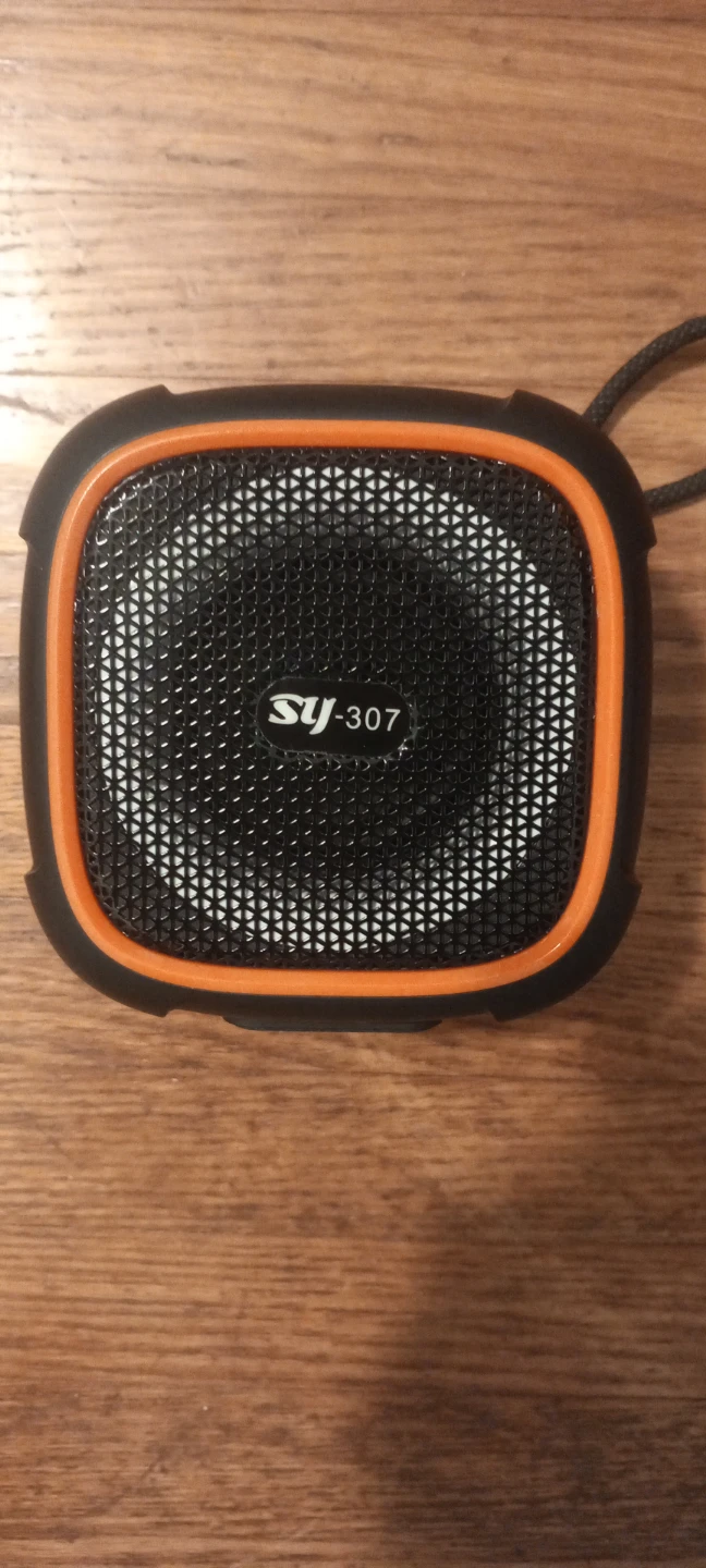 SY-307 Portable Bluetooth Speaker