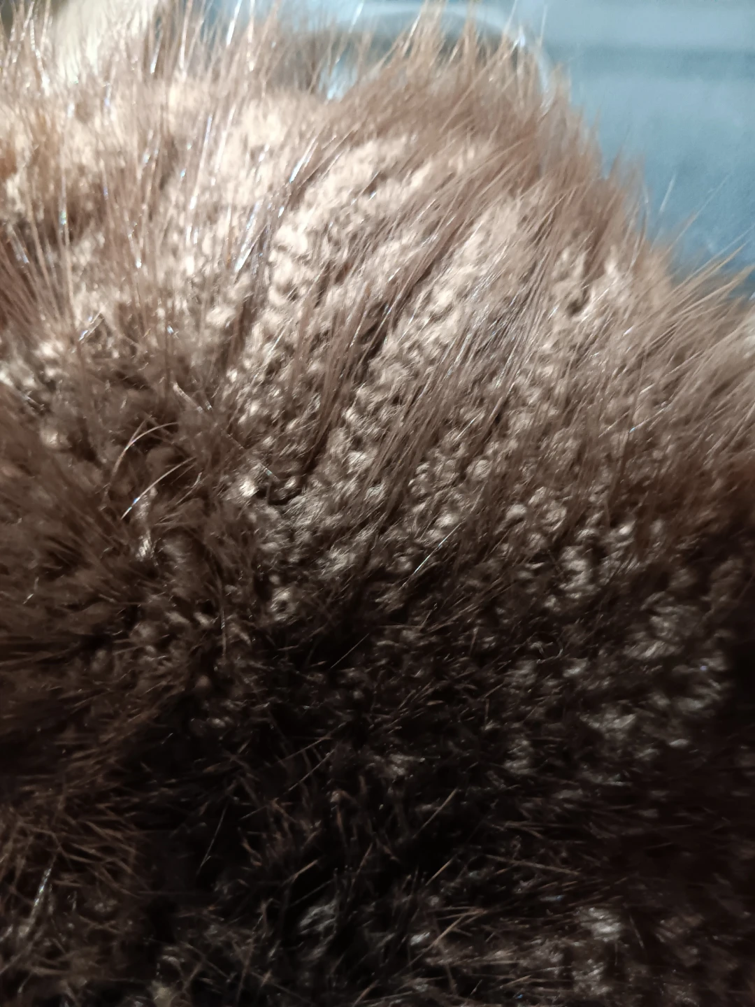 Arctic Canada Collection Fur Hat - photo 5
