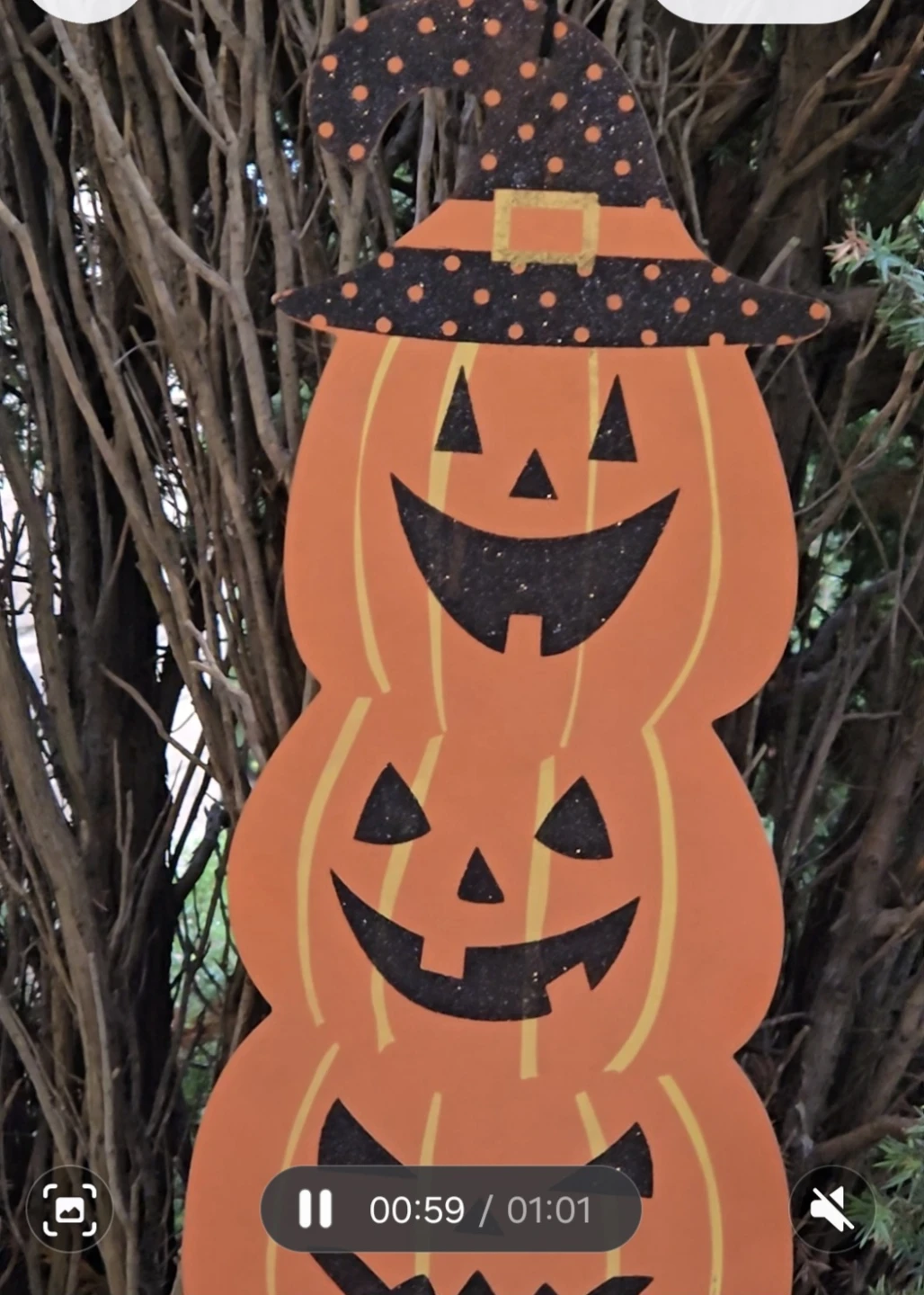 Set of 3 Halloween Yard Signs