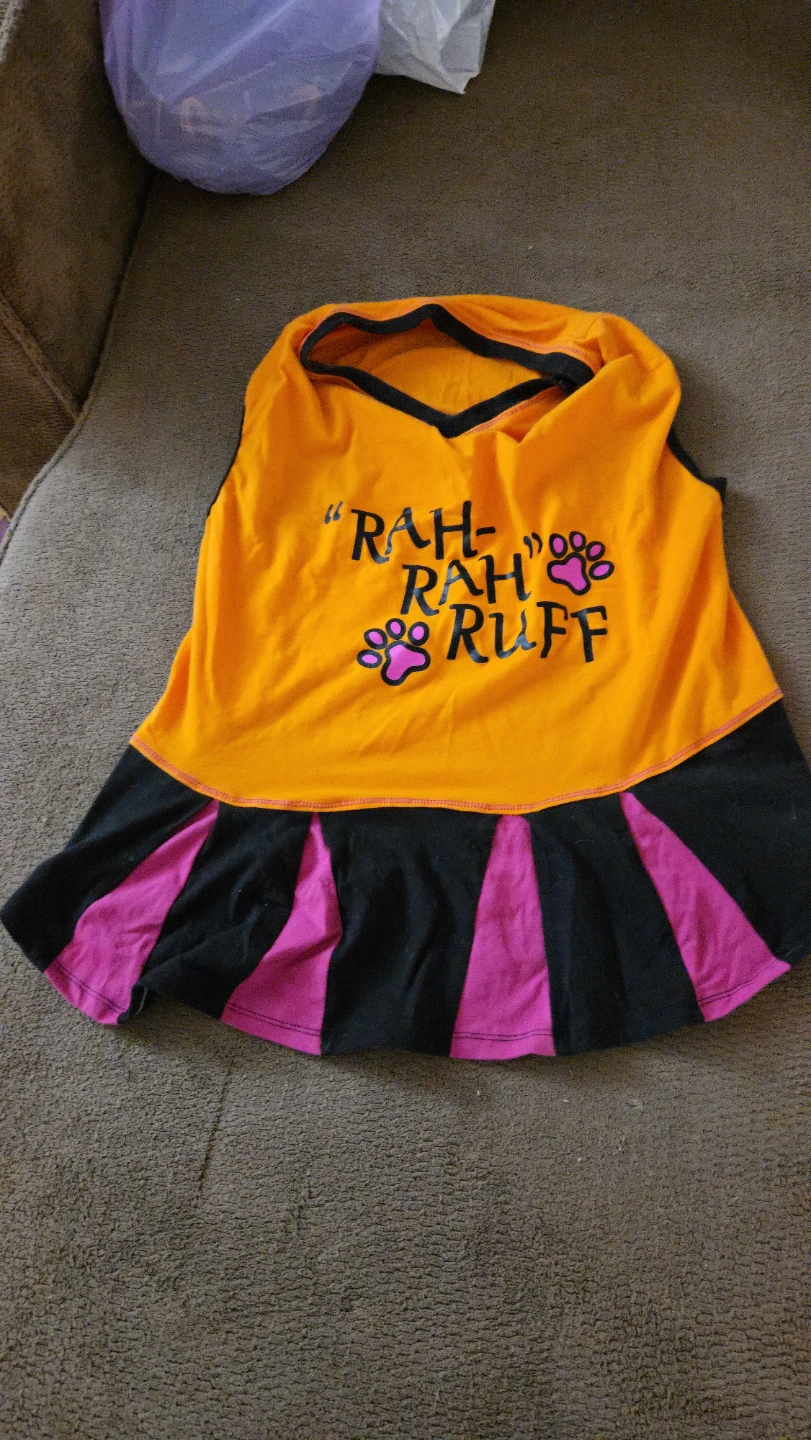 Rah-Rah Ruff Dog Cheerleader Halloween