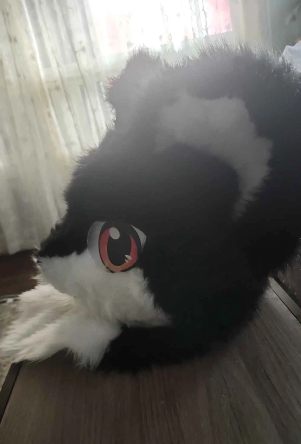 Fursuit Head - Black and White Cat - photo 4