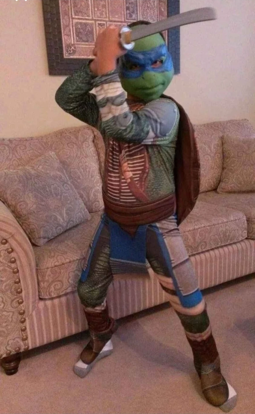 Teenage Mutant Ninja Turtles Leonardo halloween Costume