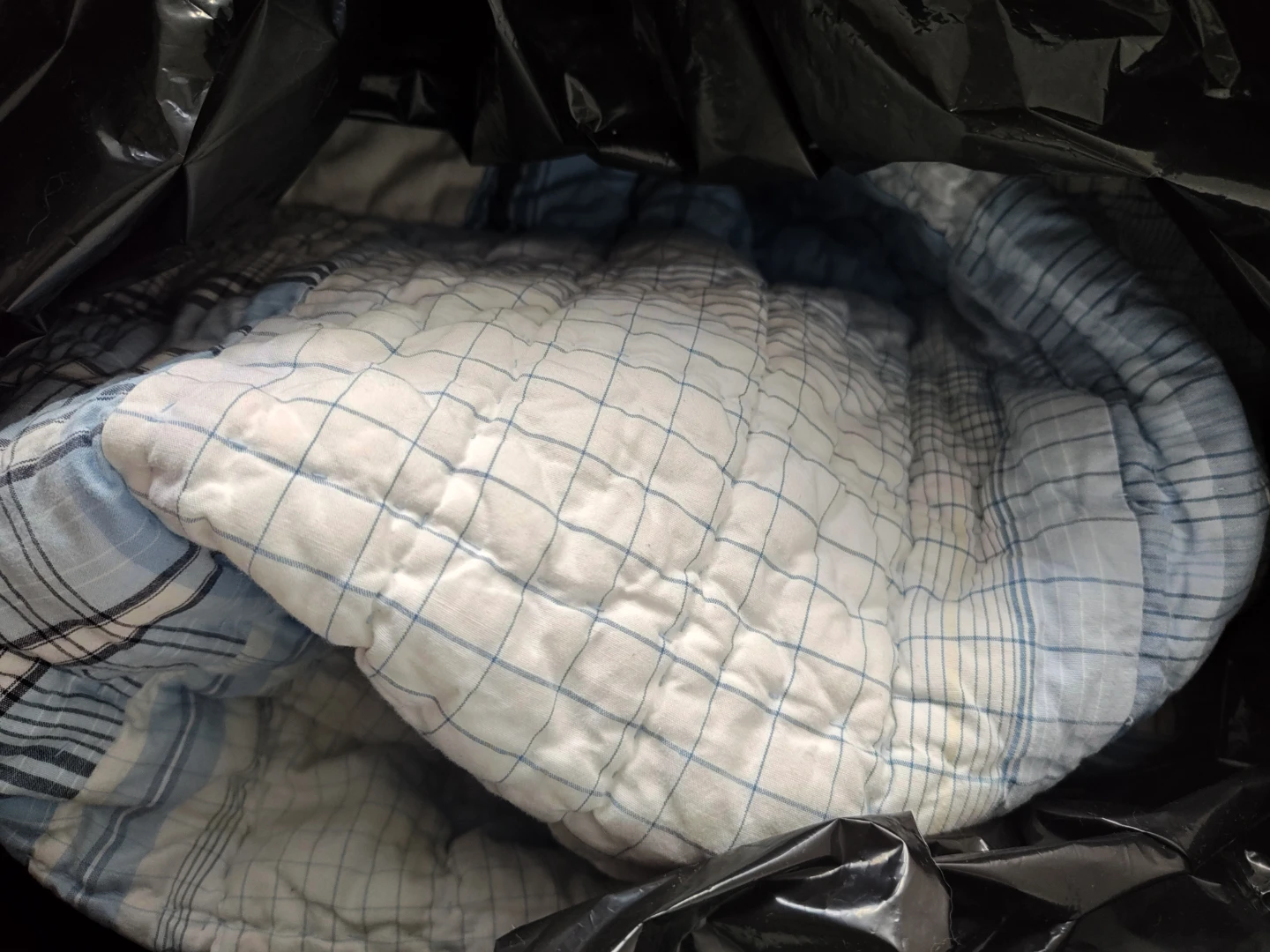 Blue and White Plaid Quilt