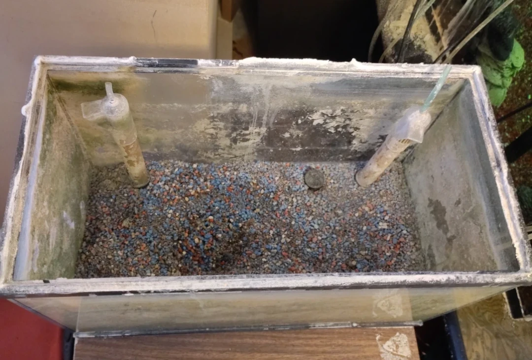 10 Gal Glass aquarium with gravel and accessories