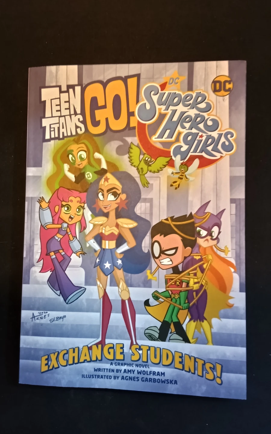 Teen Titans Go! & DC Super Hero Girls: Exchange Students!
