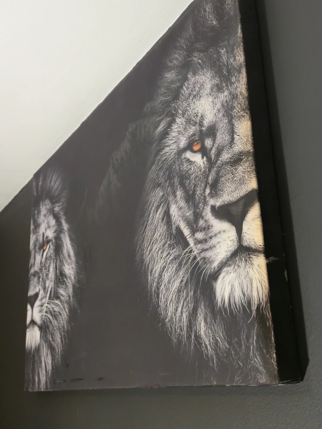Black & White Double Lion Canvas Wall Art 36" x 24 - photo 4