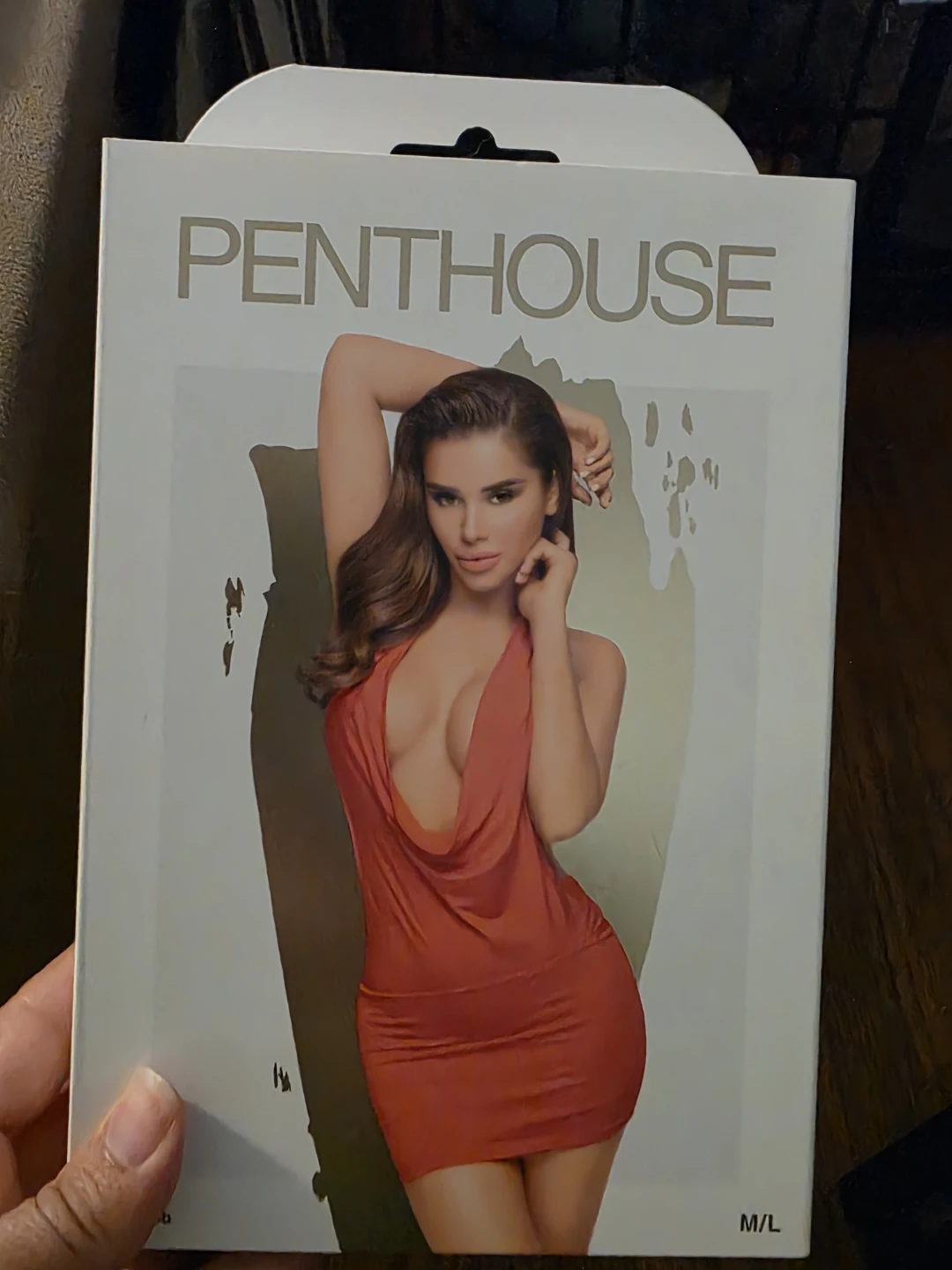 Penthouse Mini Dress M/L
