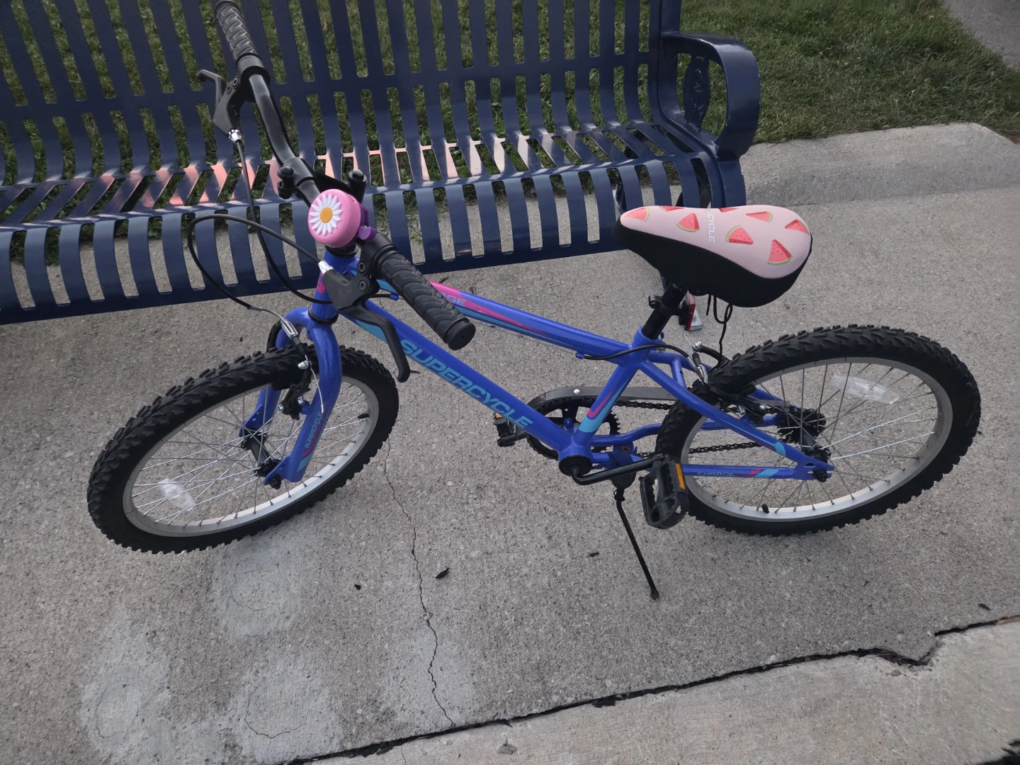 Supercycle Charge Bike - Moving Out Sale