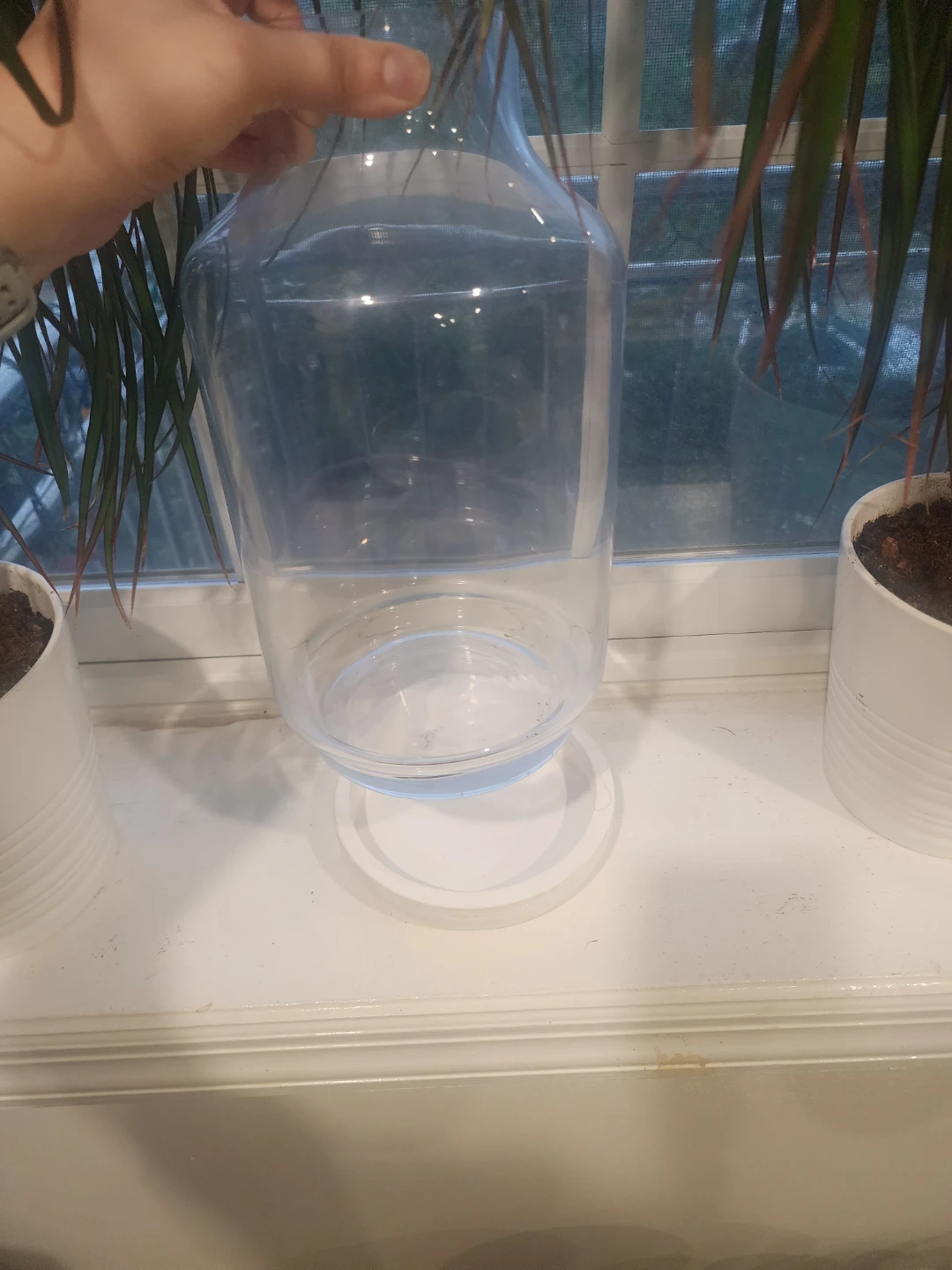 Ashland Glass Terrarium with Wood Base - photo 2