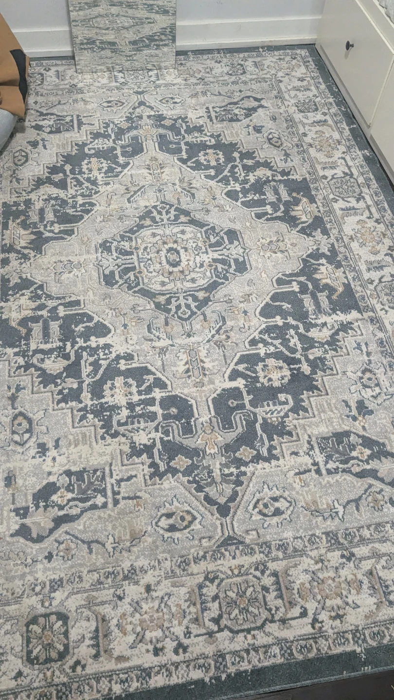 Traditional Style Area Rug