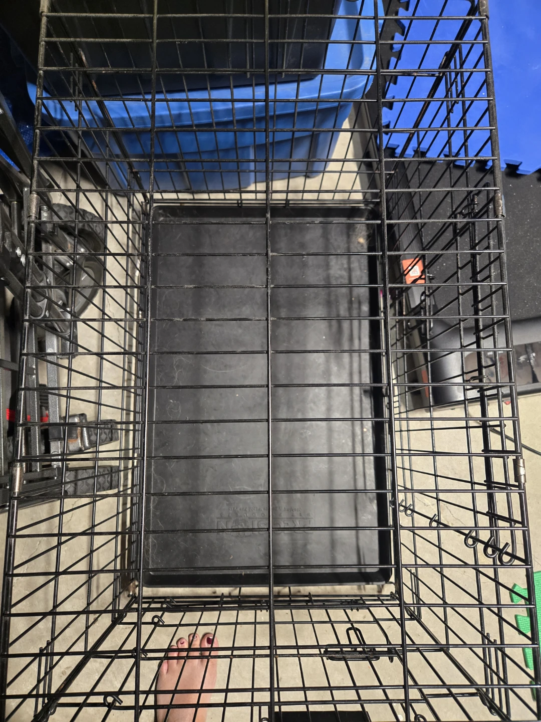 Precision Pet Products Wire Dog Crate - photo 3