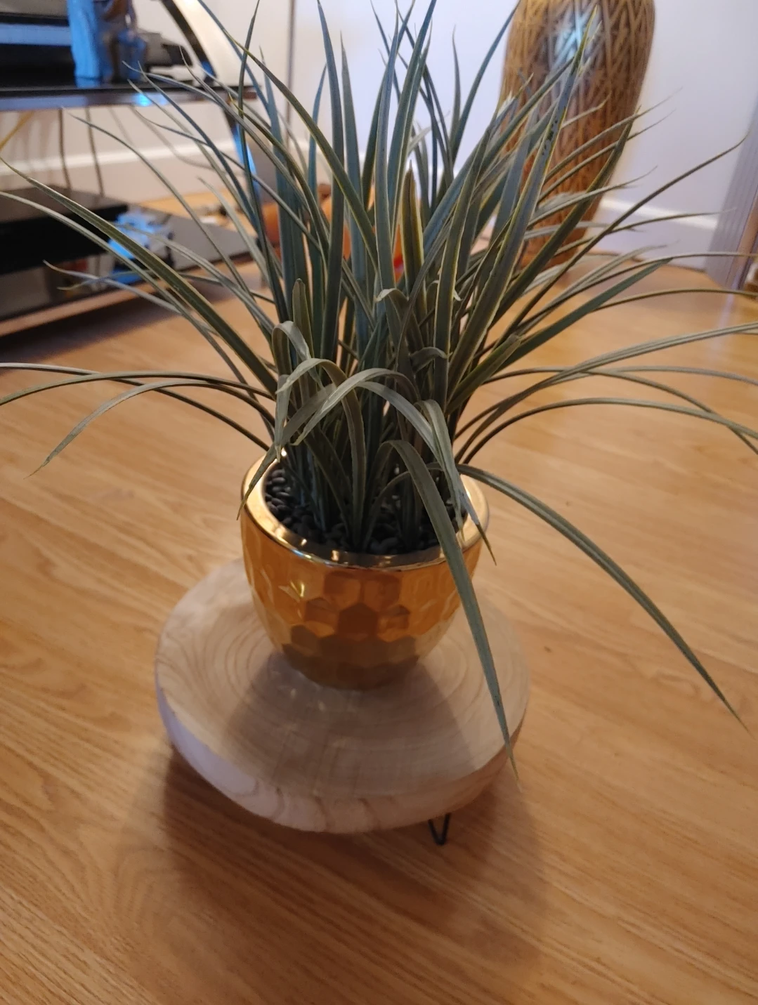 Natural Wood Slice Plant Stand - photo 3