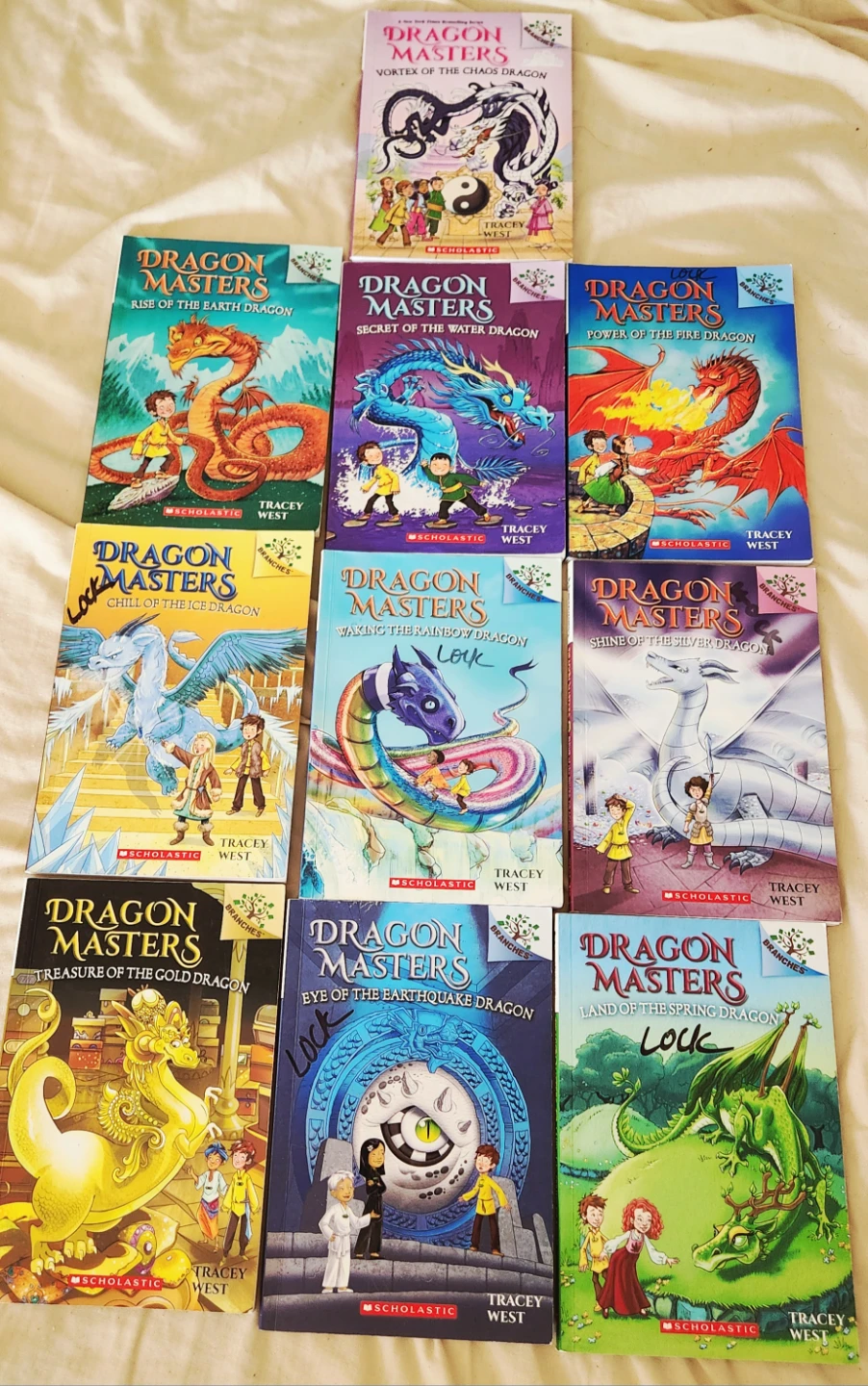 Dragon masters book set