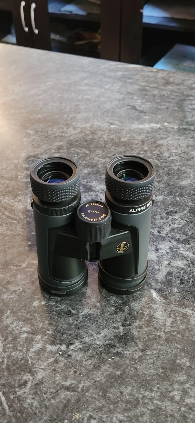 Leupold BX-2 Alpine HD 10x42 Binoculars