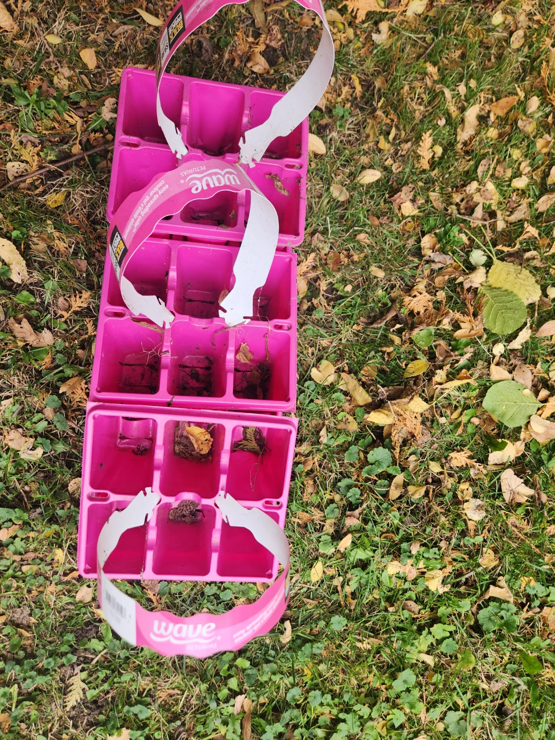 Pink Plastic Seedling Trays - photo 4
