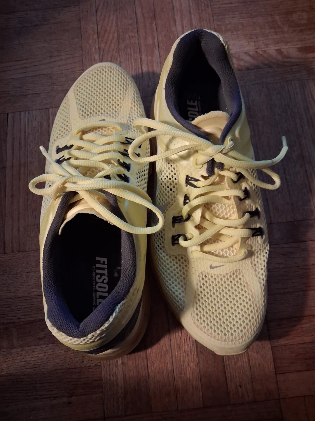 Nike Air Max Running Shoes