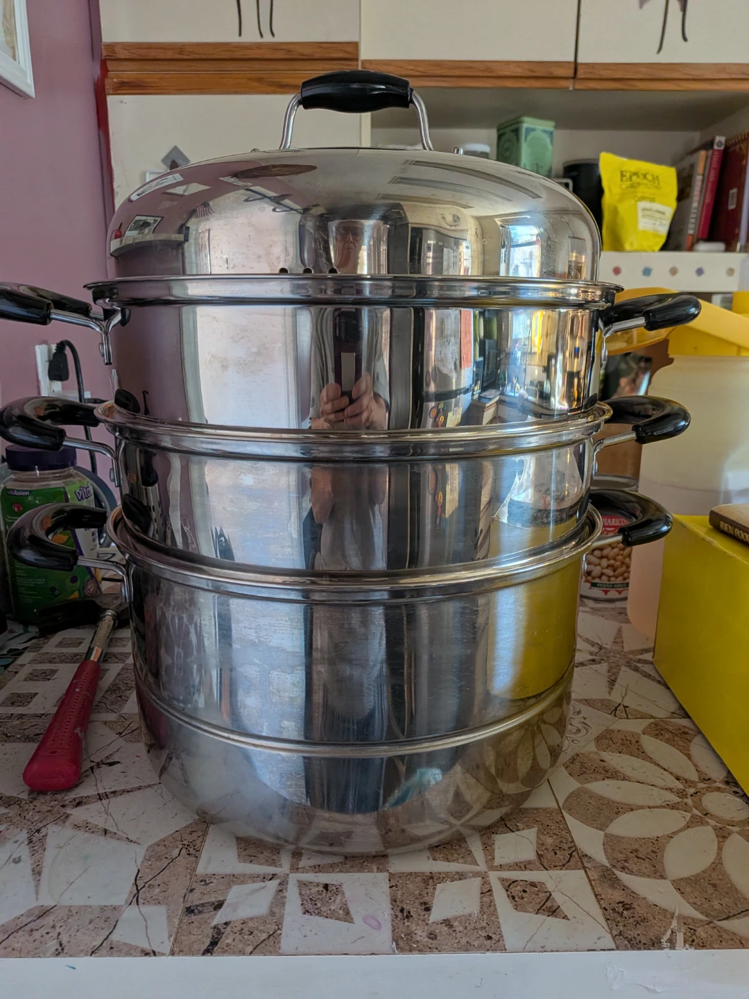 Stainless Steel Multi-Tier Food Steamer