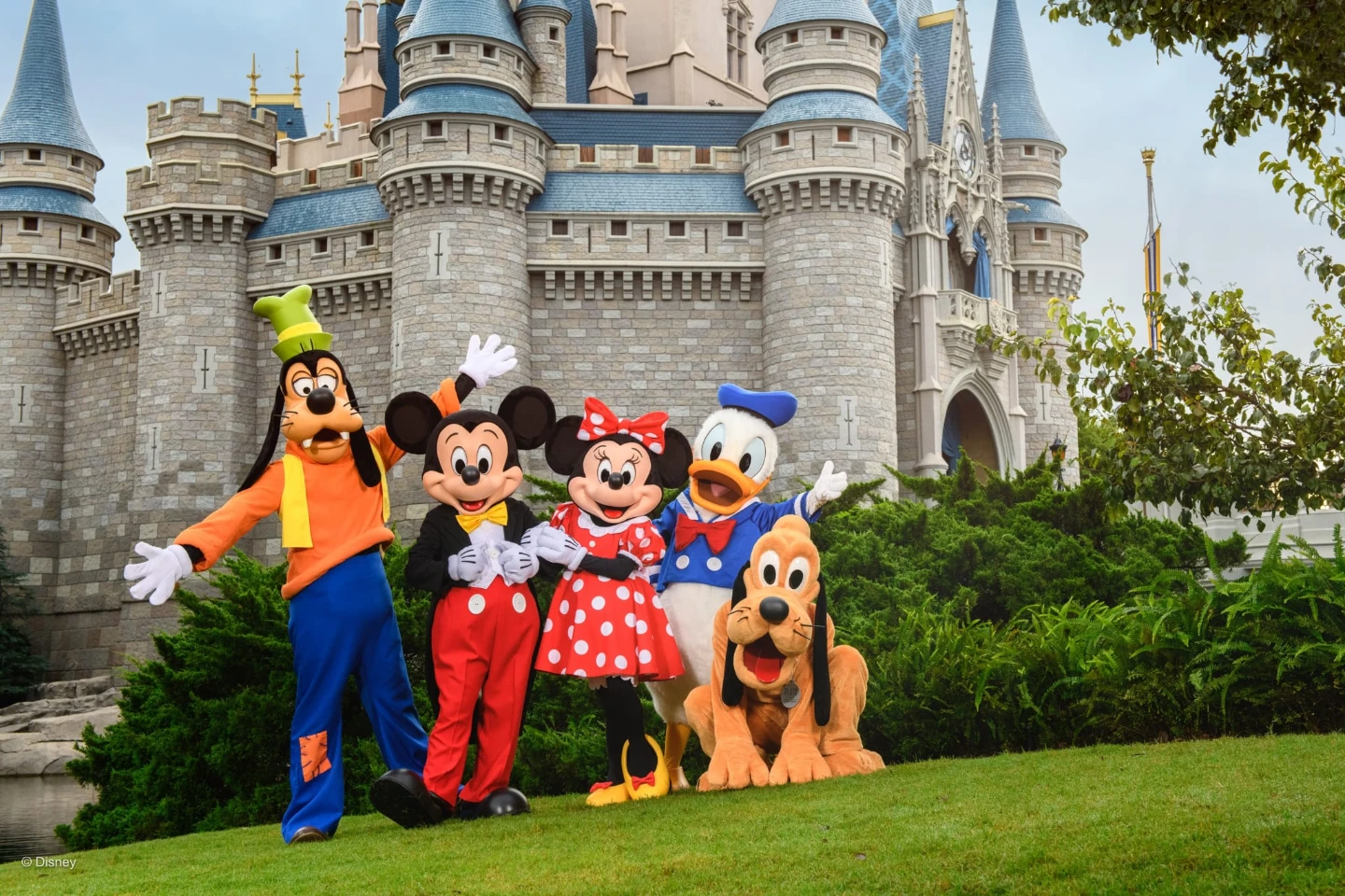 Disney Park tickets/Passes 8 single day adult passes Expire 2030 - photo 3