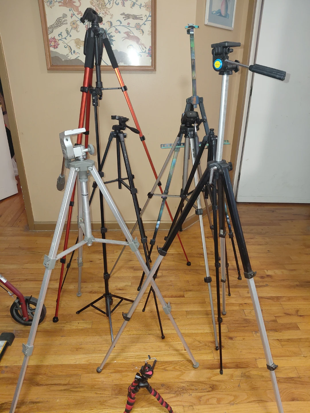 Camera Tripods Collection