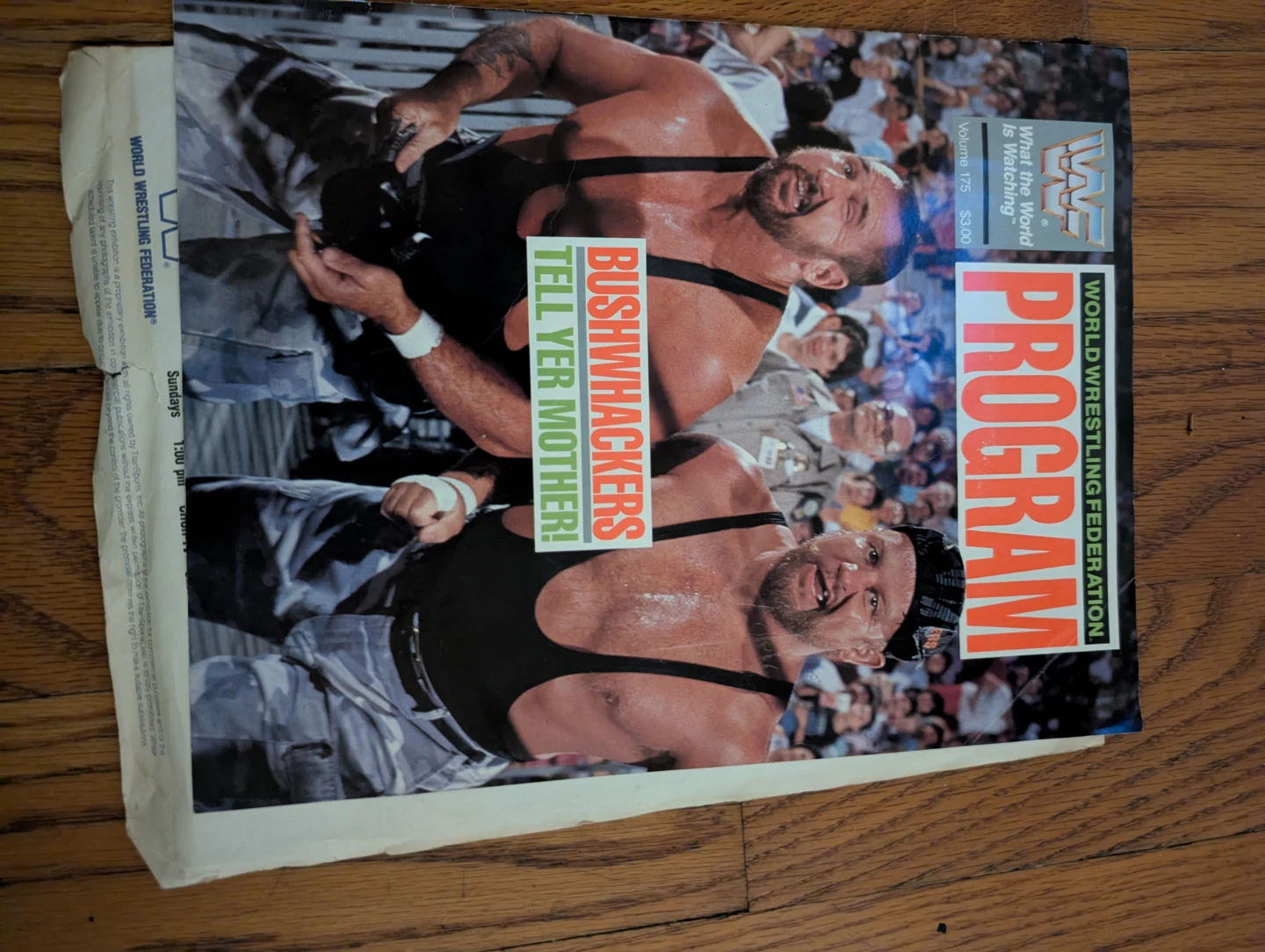 Vintage 1989 WWF Wrestling Program Magazine