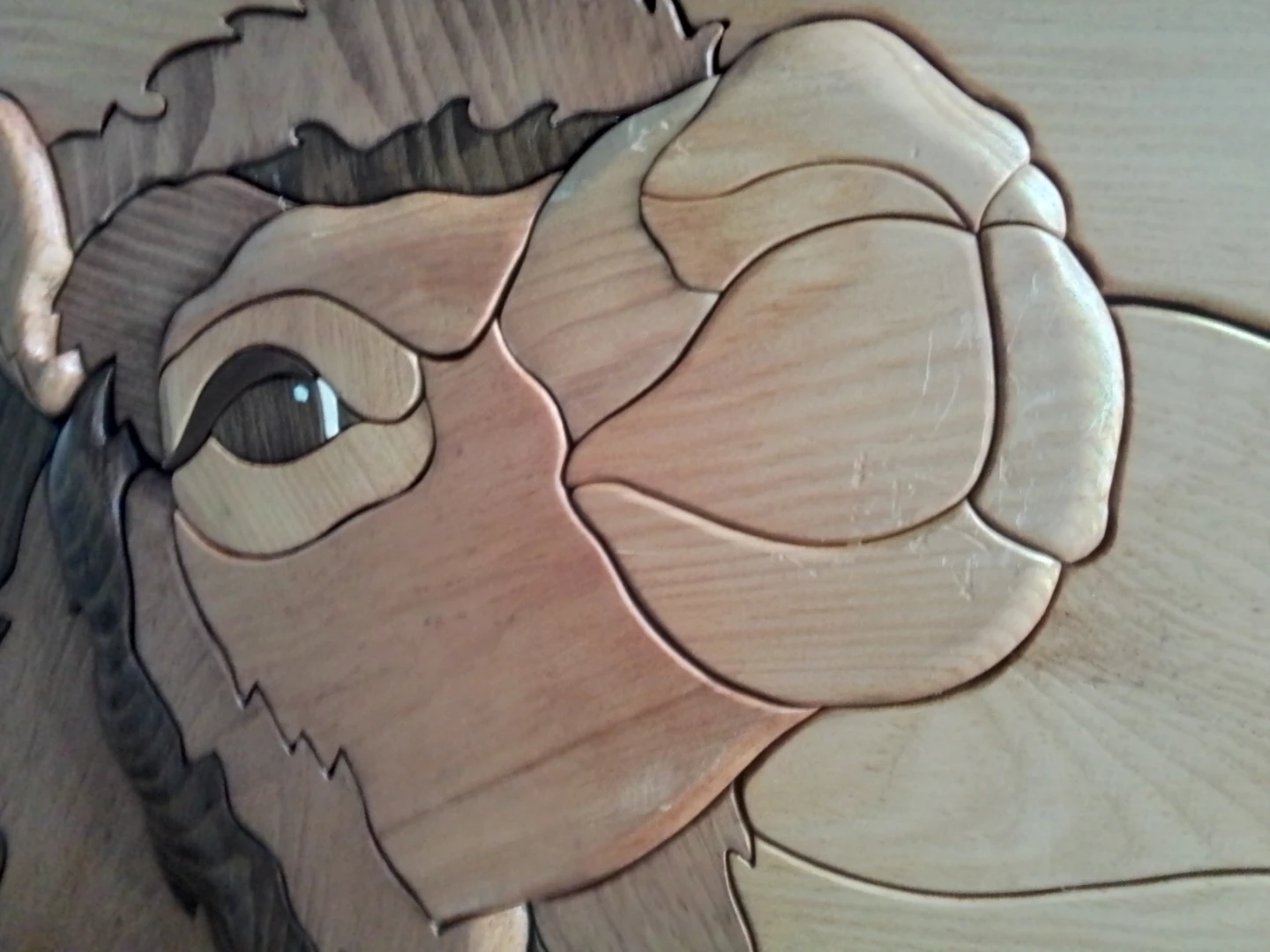 Intarsia Wooden Camel Wall Art - photo 4