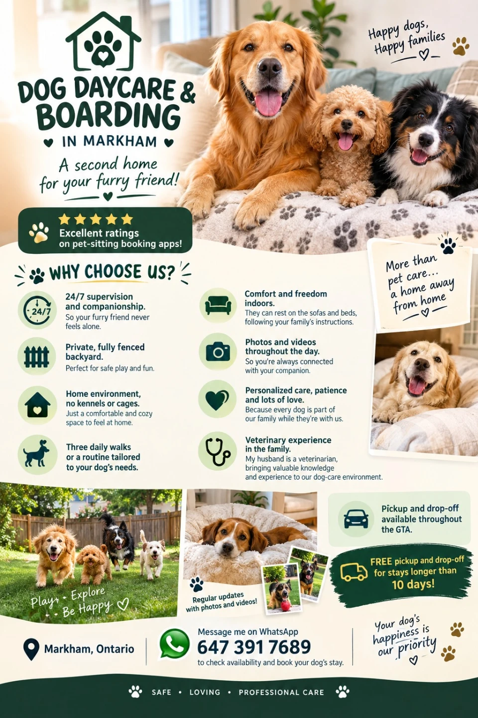 🐾 DOG DAYCARE & BOARDING IN MARKHAM 🐶❤️