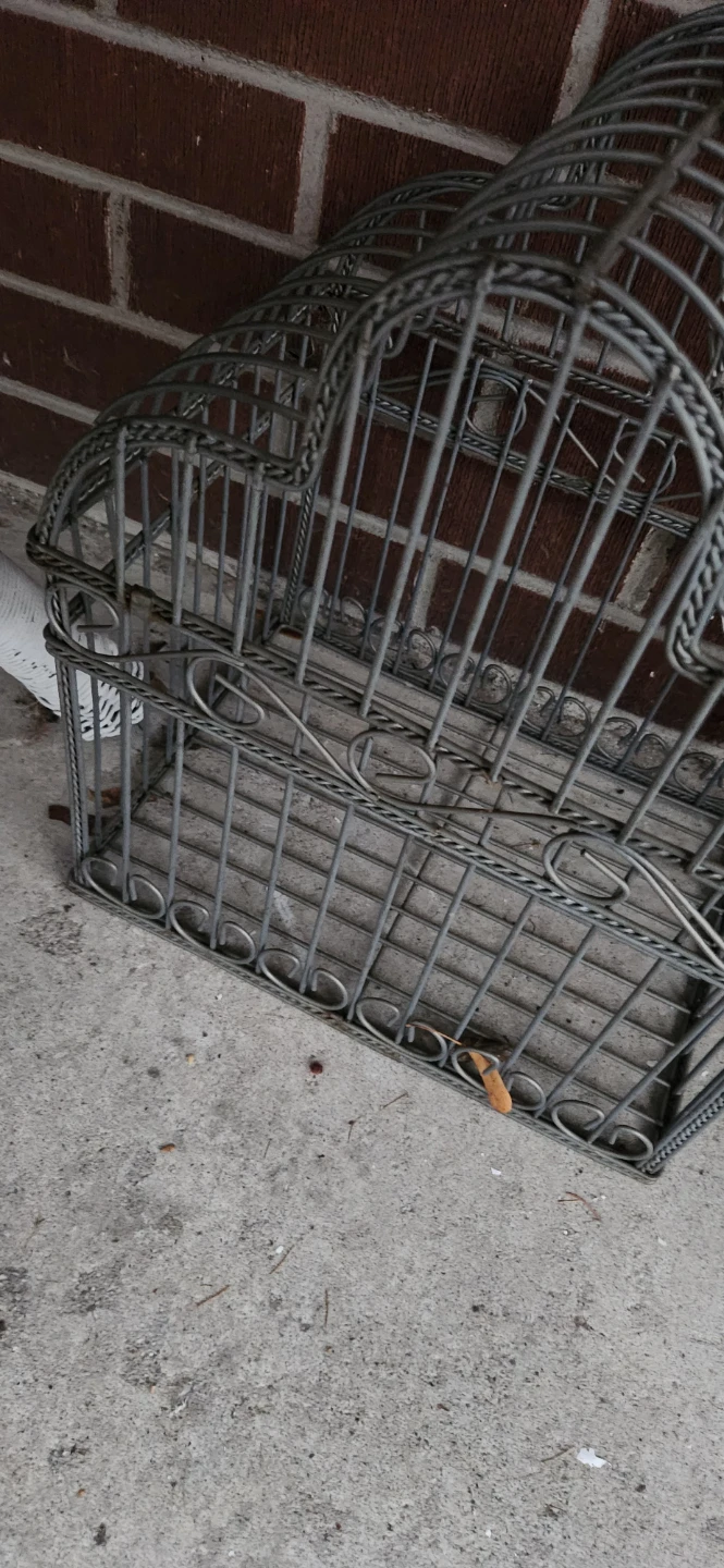 Decorative Metal Birdcage