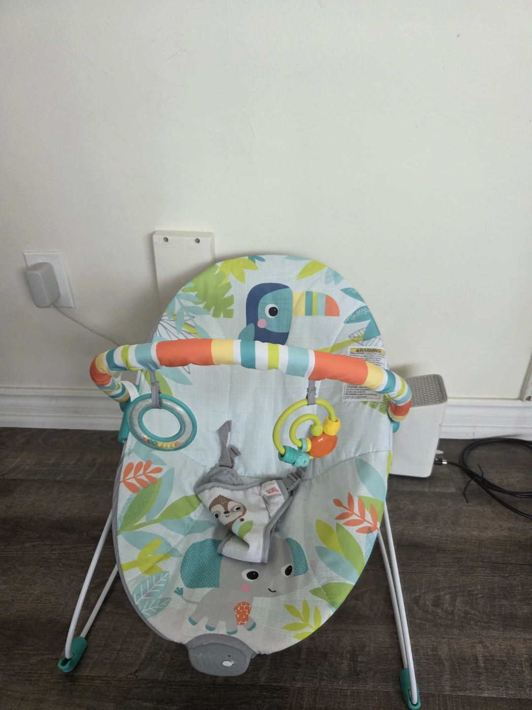 Vibrating Baby Bouncer