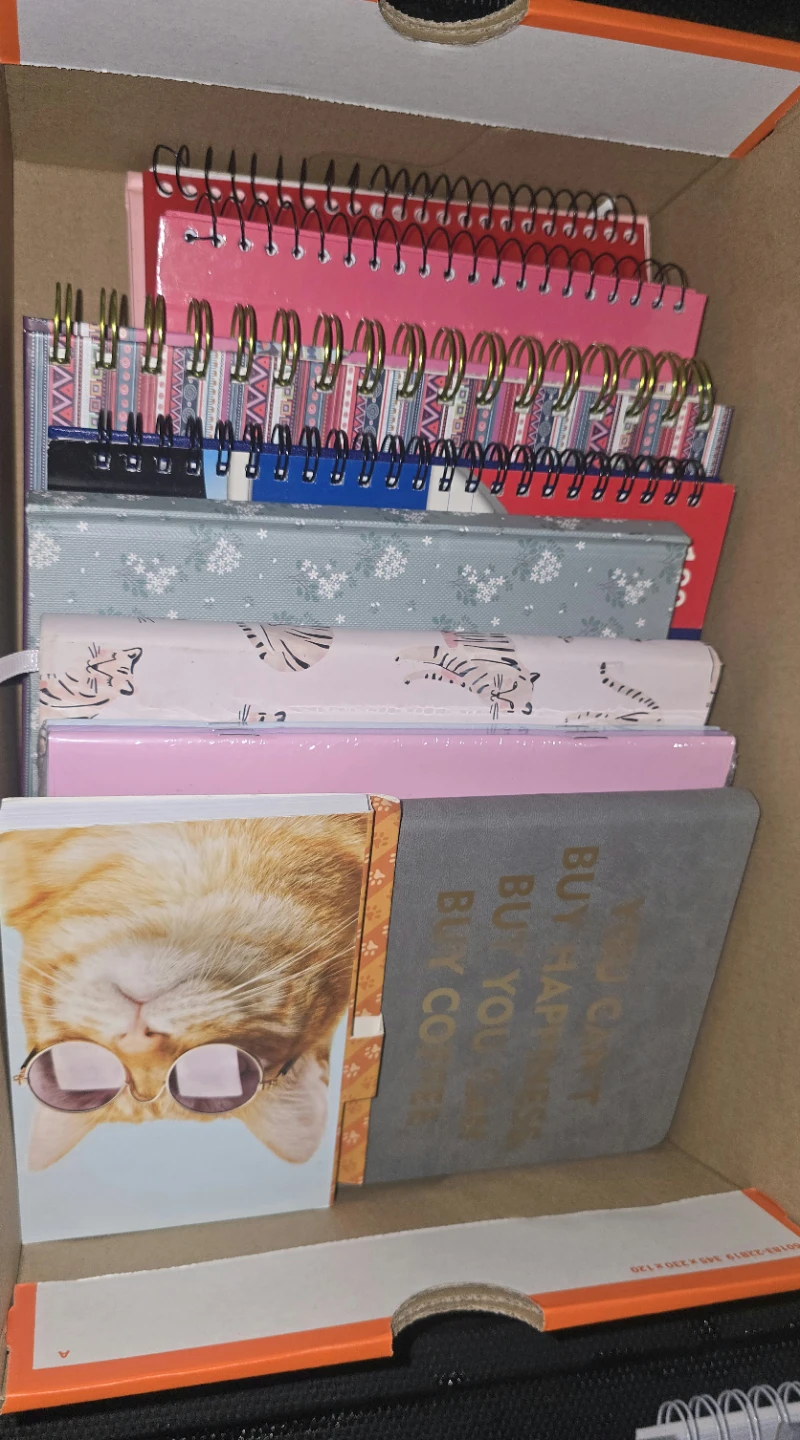 Set of 9 Assorted Notebooks and Diaries