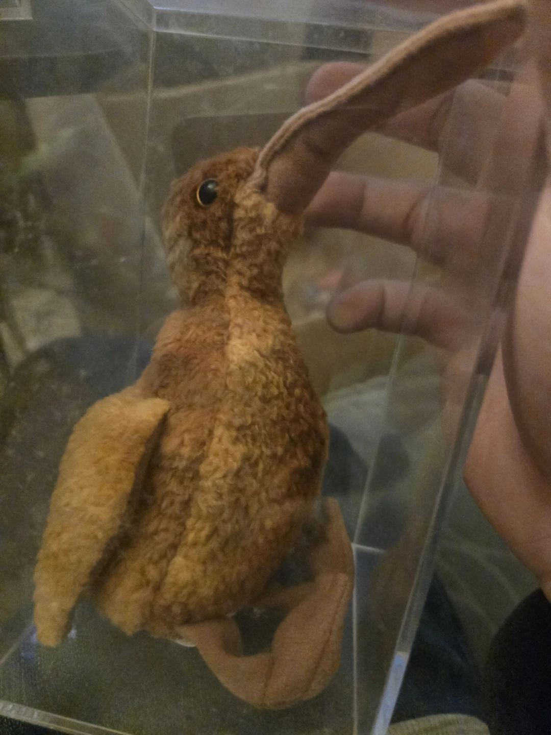 Steiff Kiwi Bird Plush